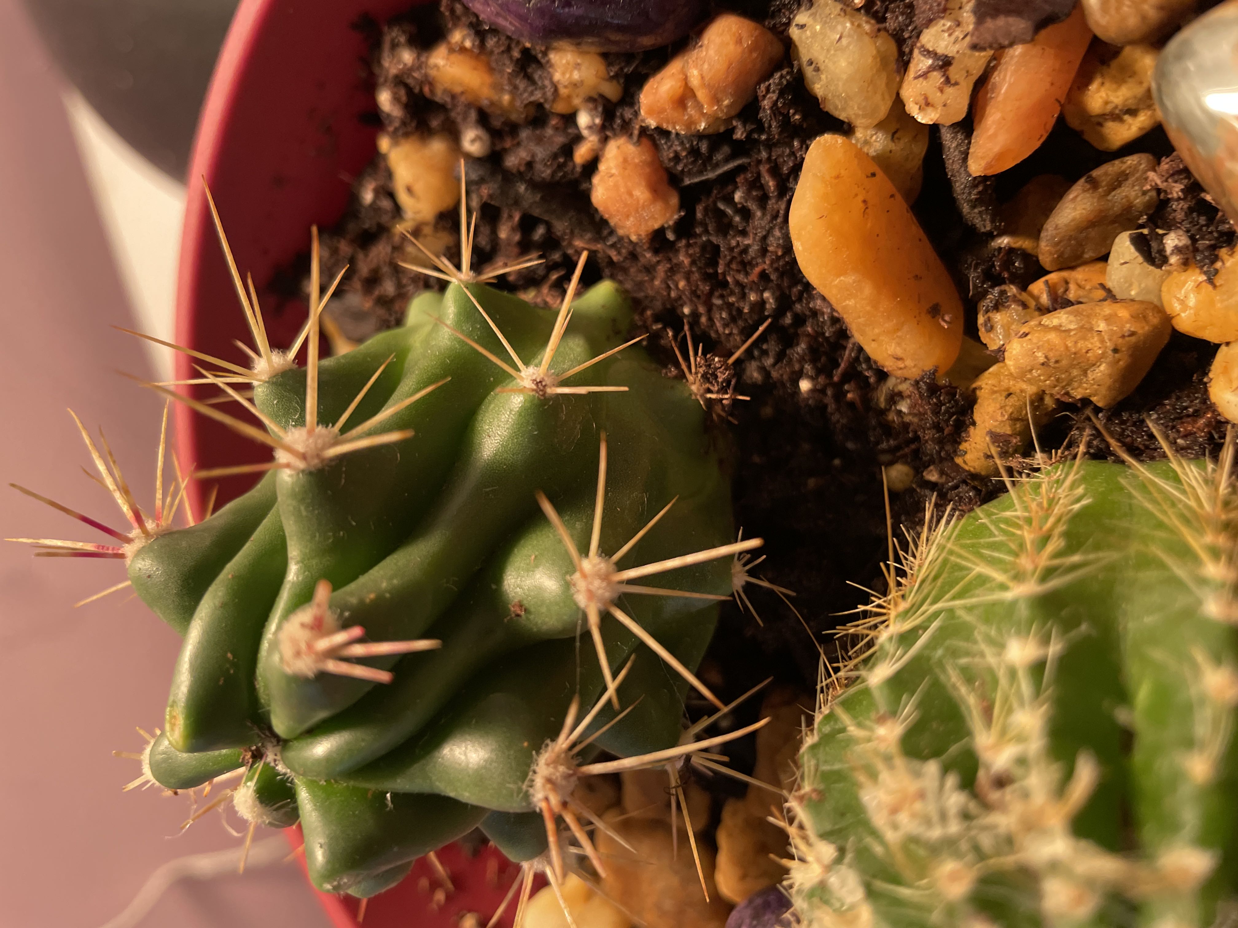Photo from the post