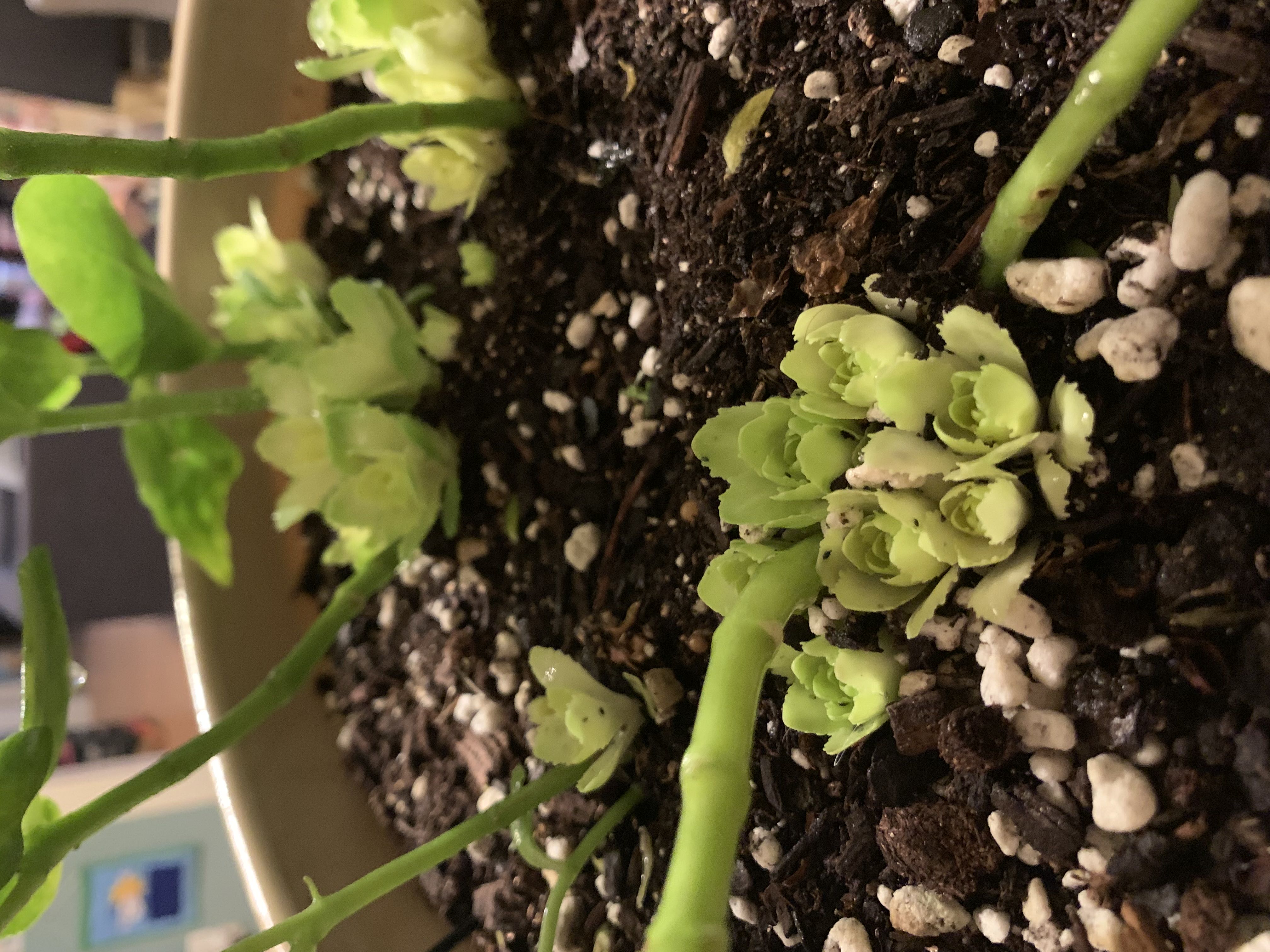 Photo from the post