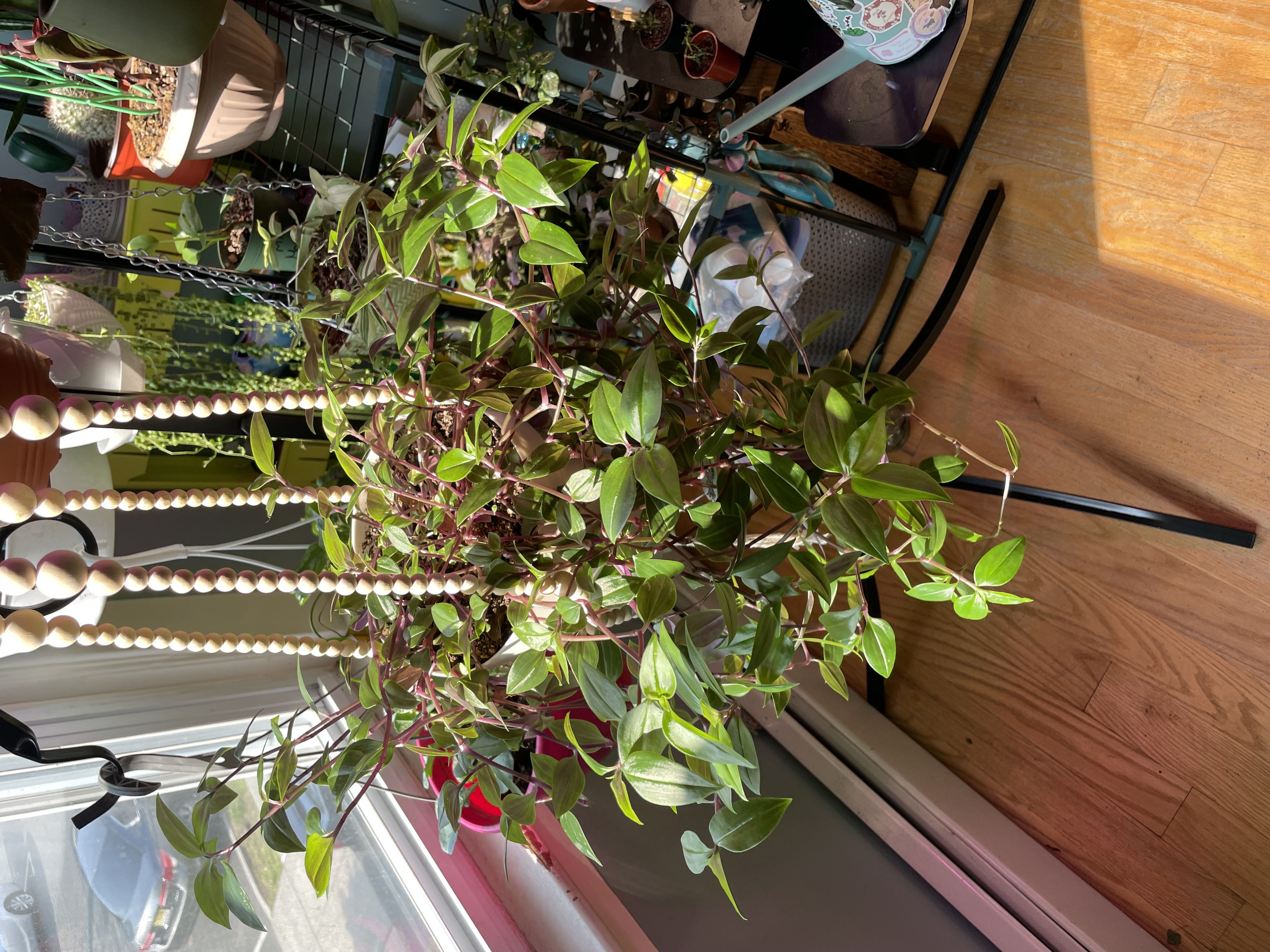 Photo from the post