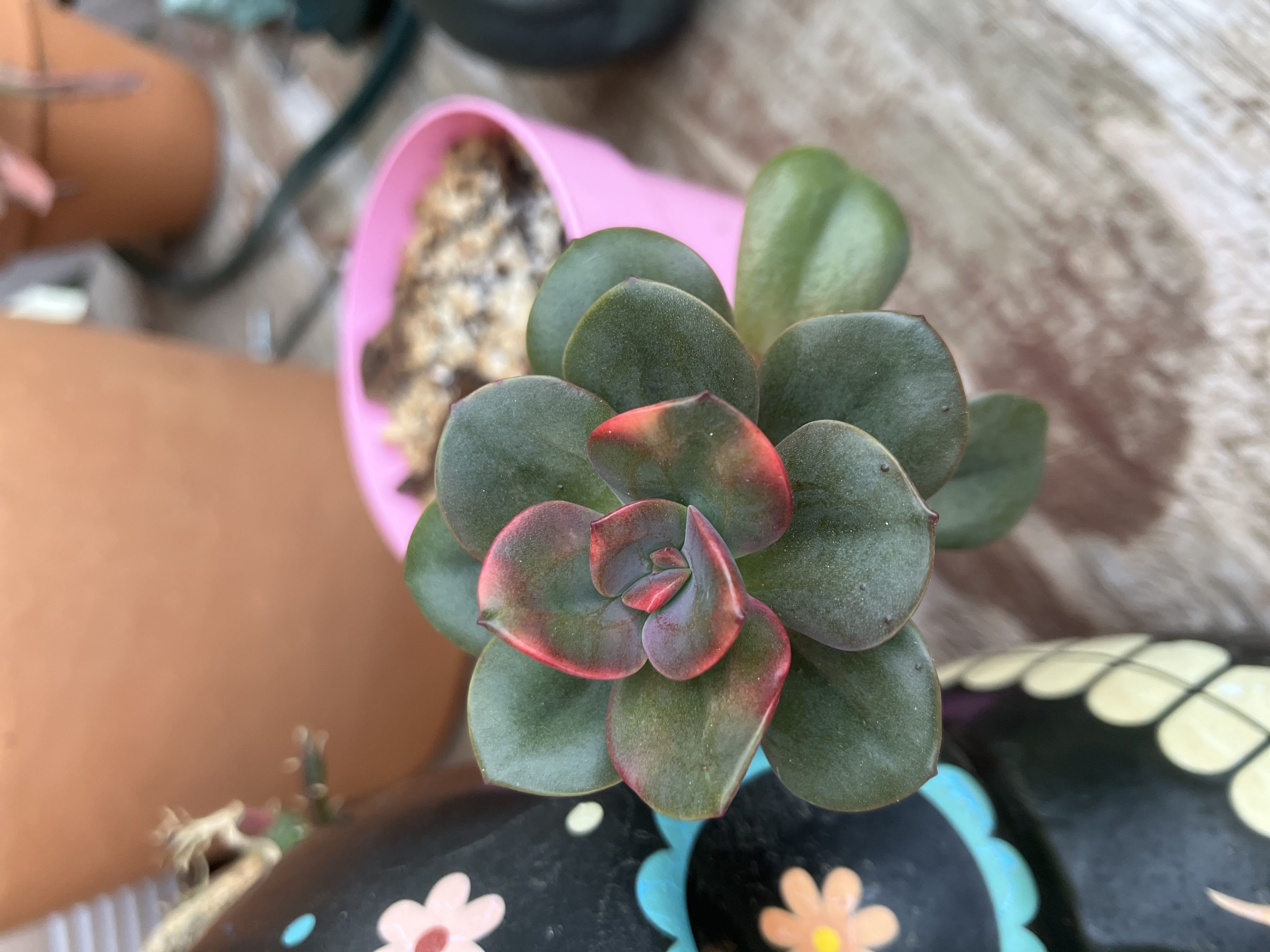 Photo from the post