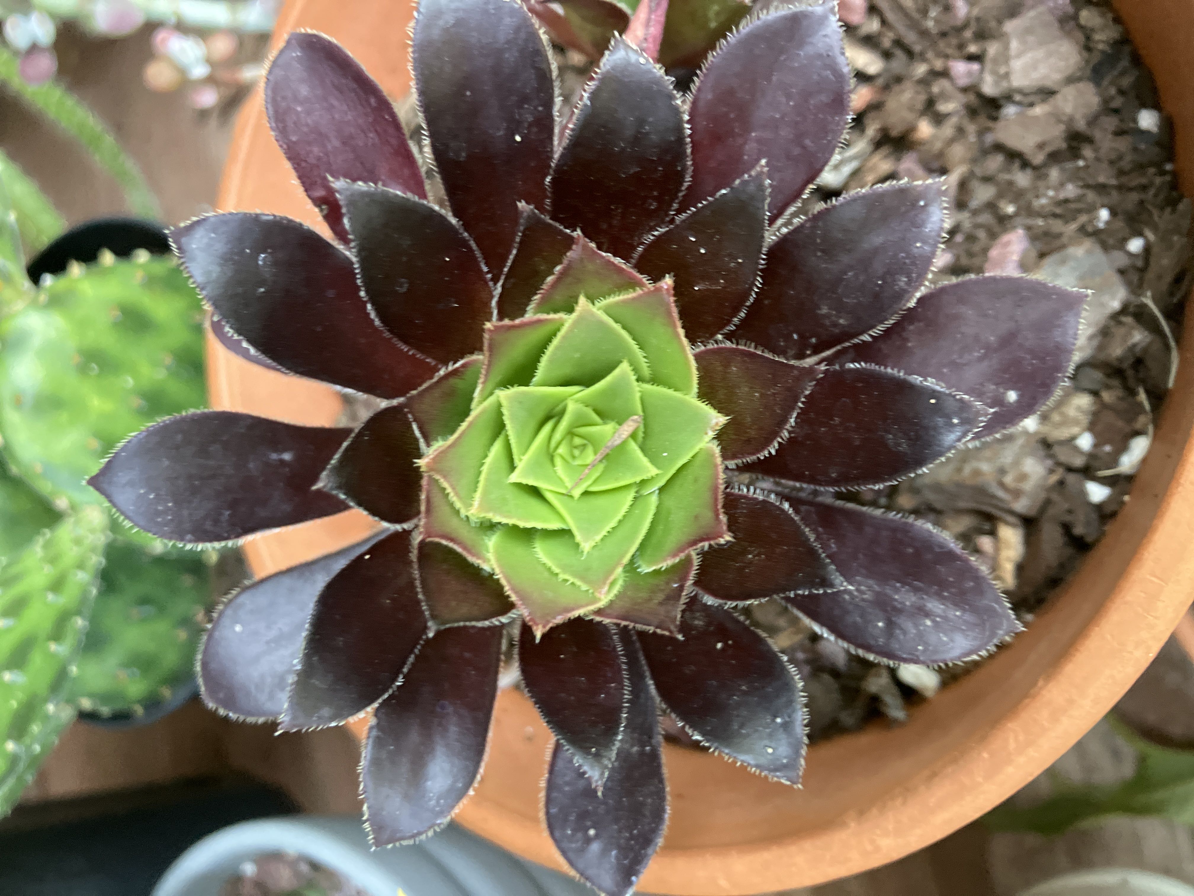 Photo from the post