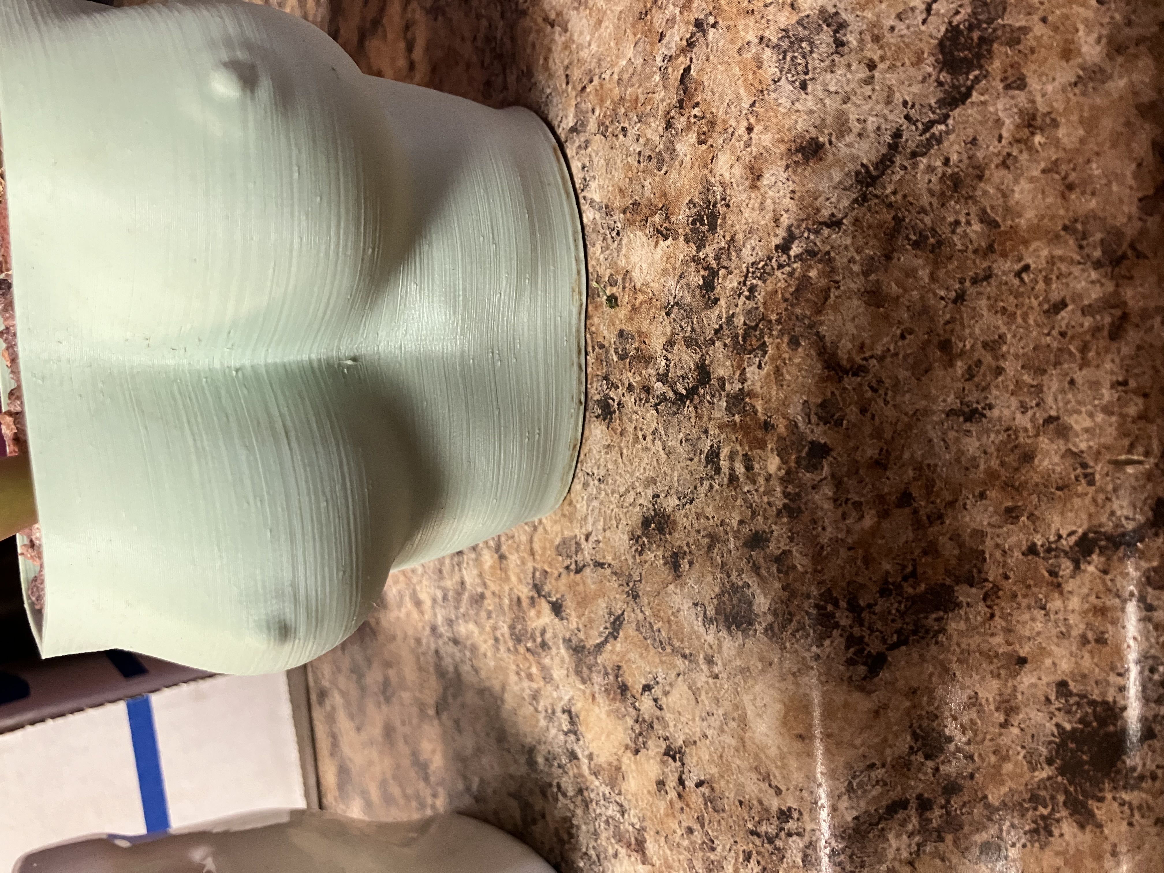 Photo from the post
