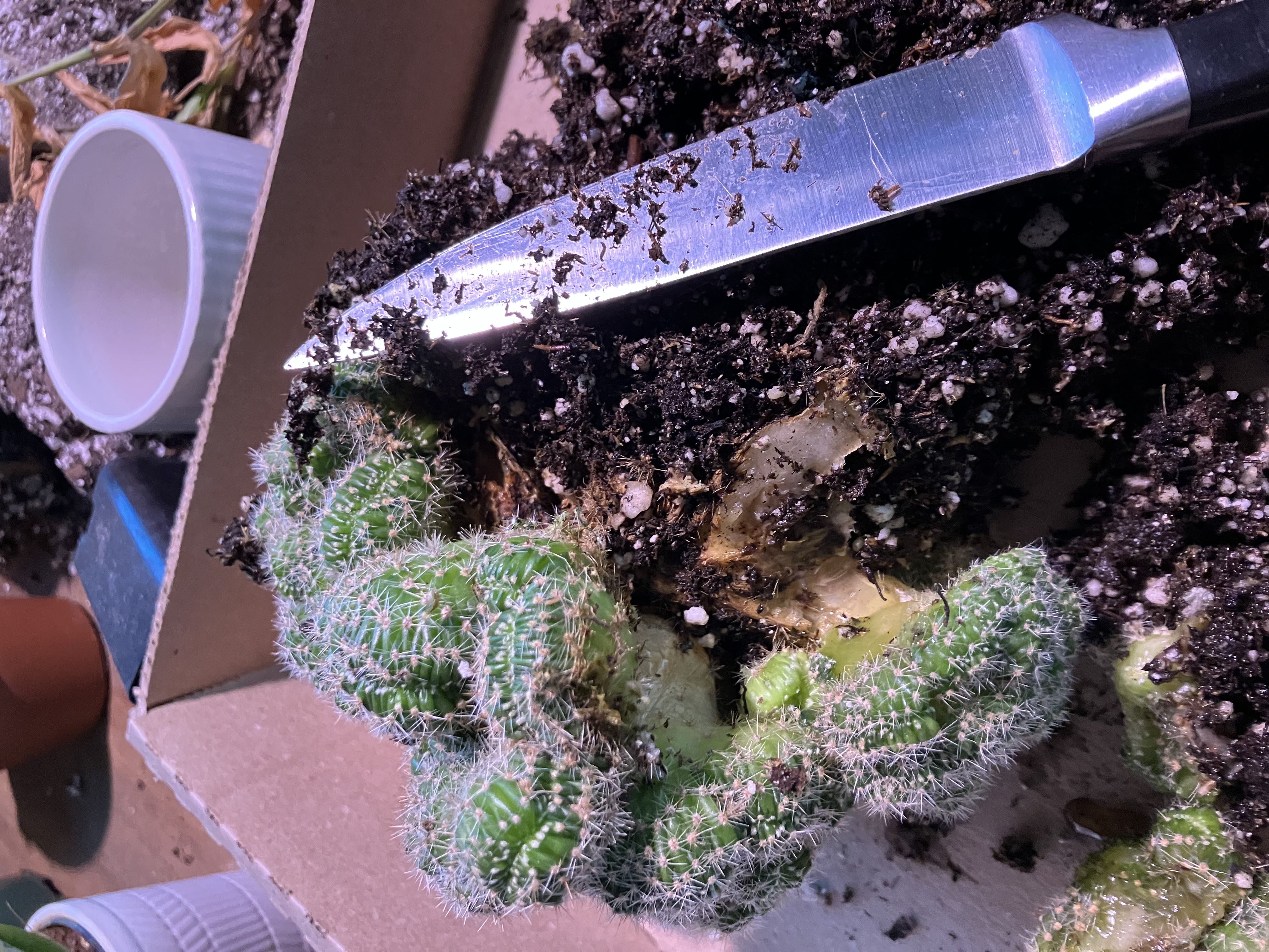 Photo from the post
