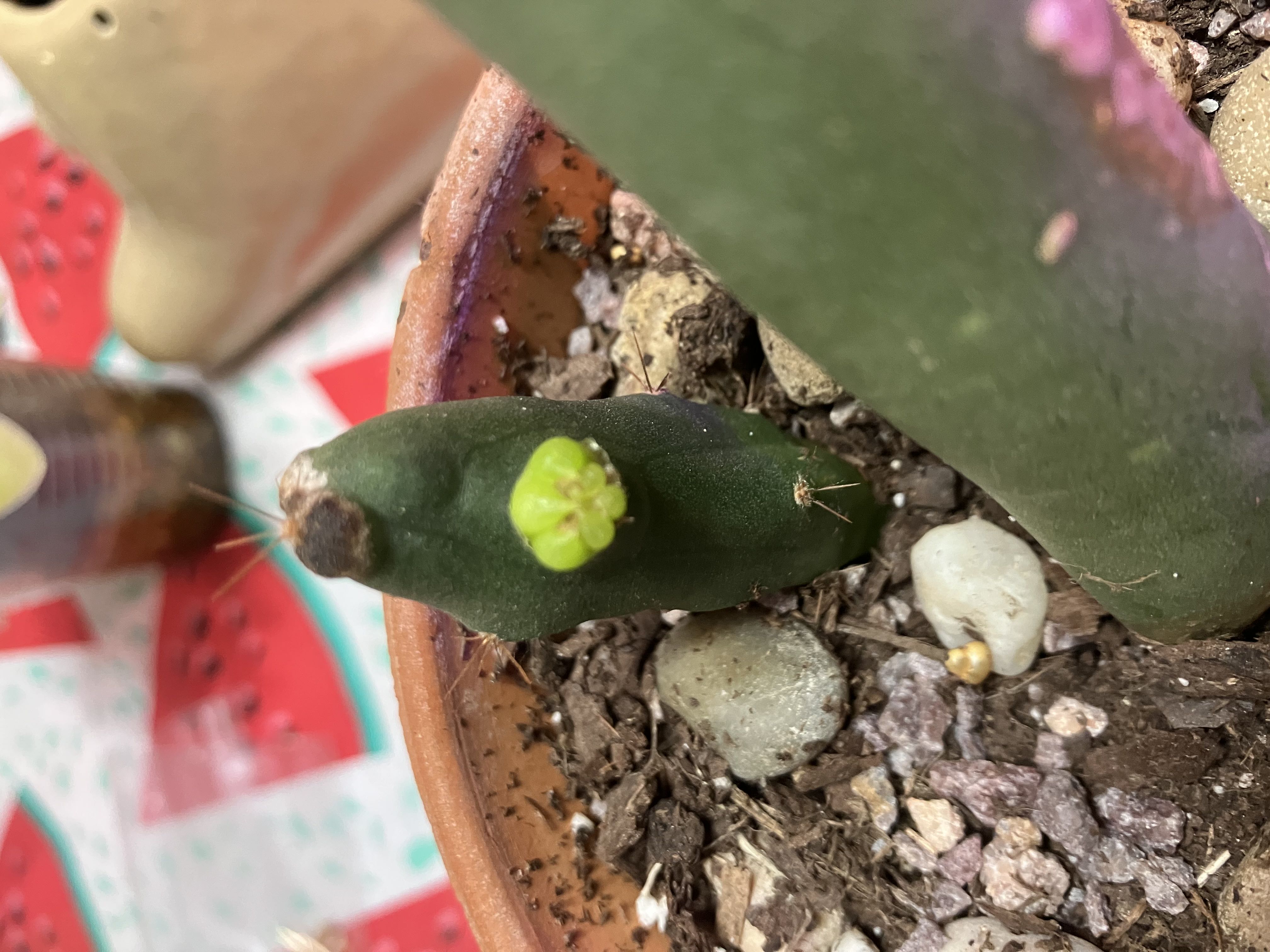 Photo from the post
