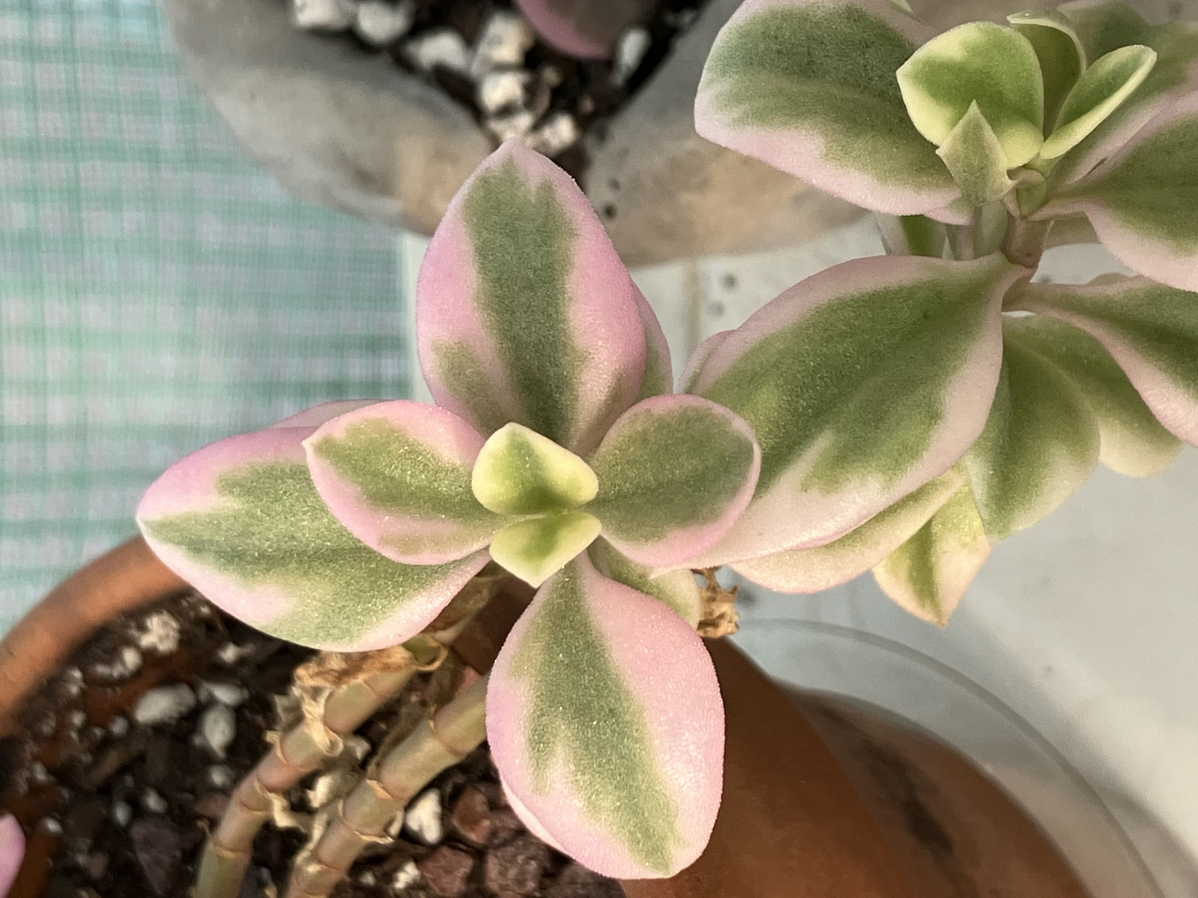 Photo from the post