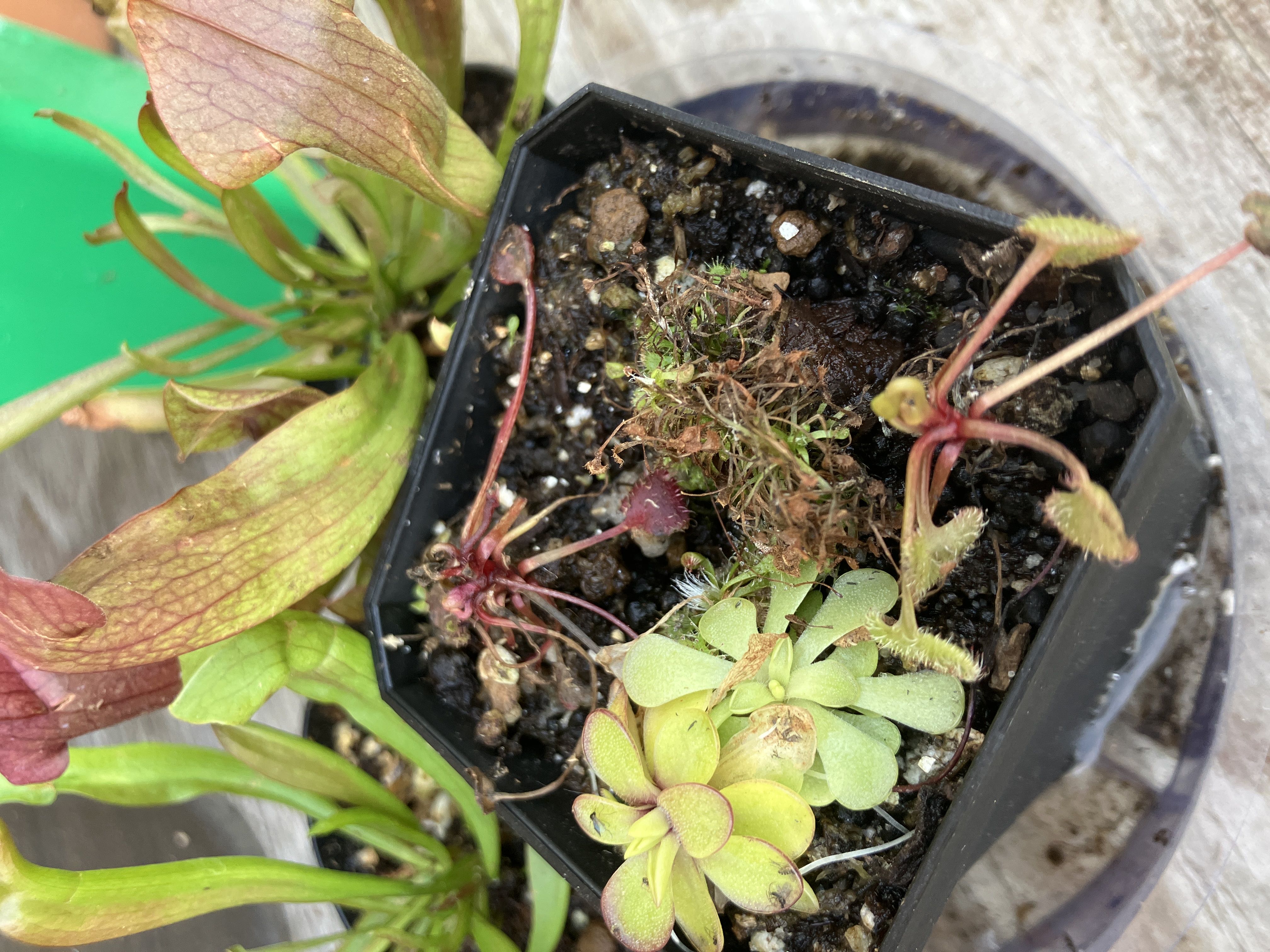 Photo from the post
