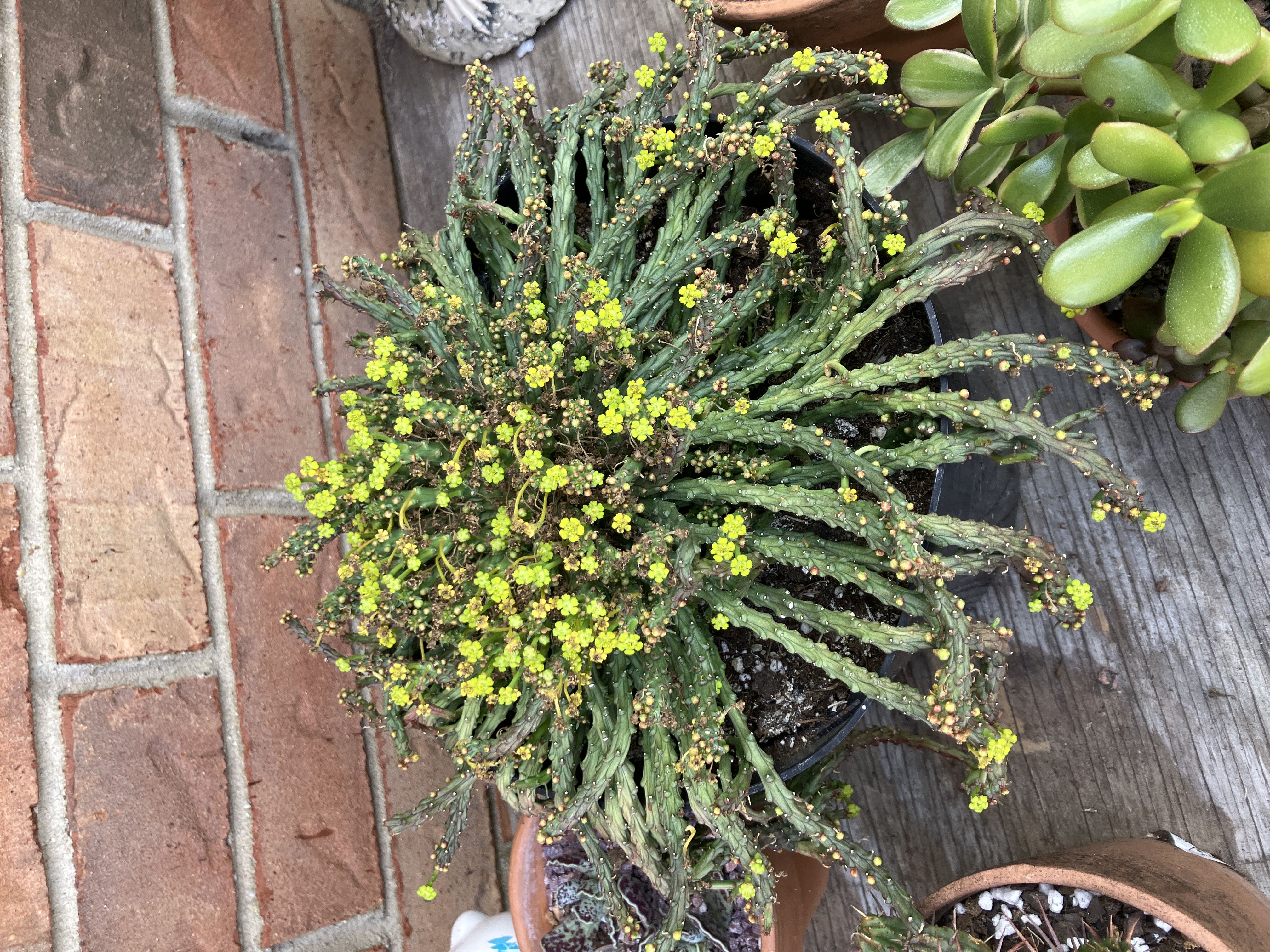 Photo from the post