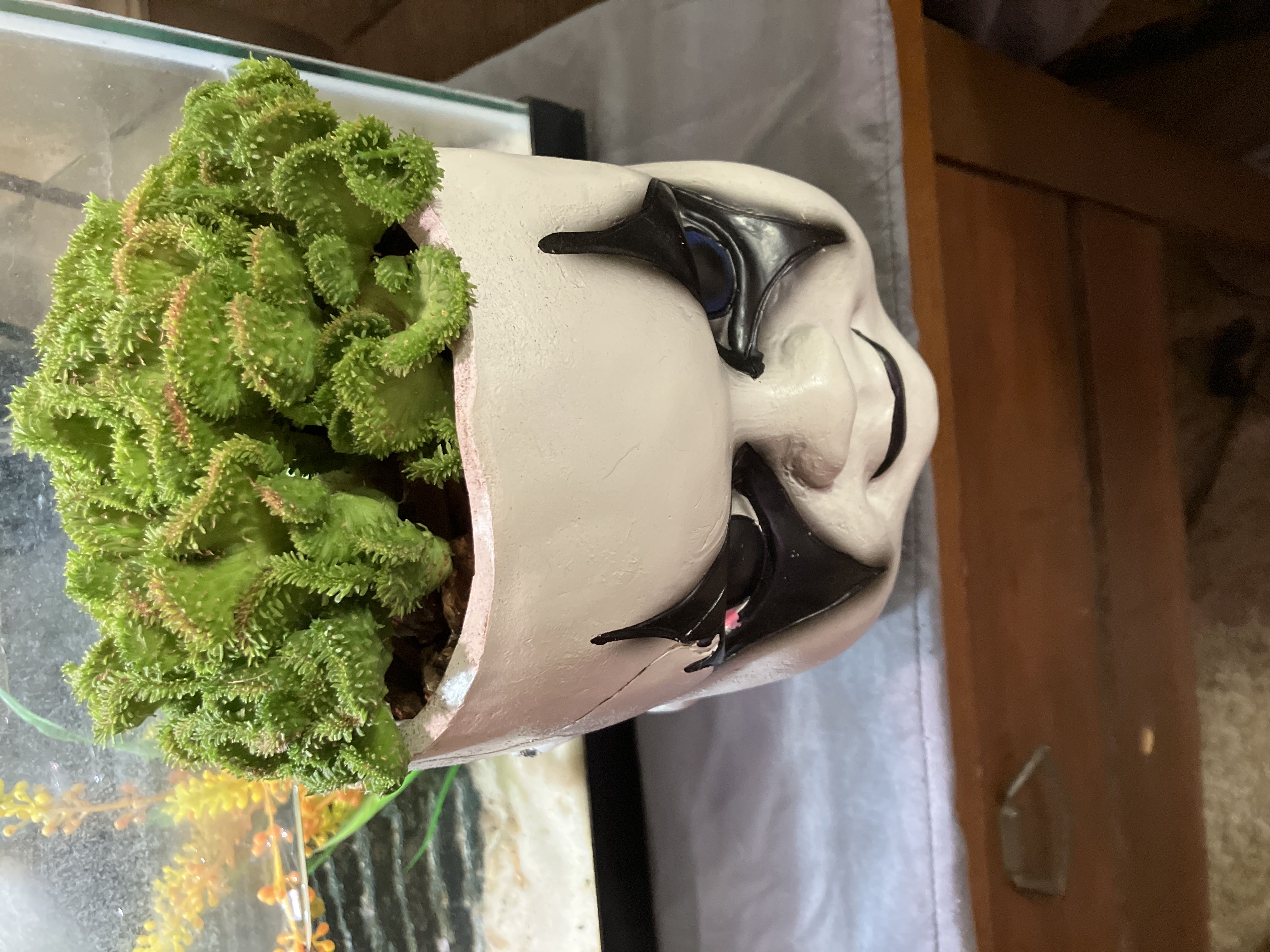 Photo from the post