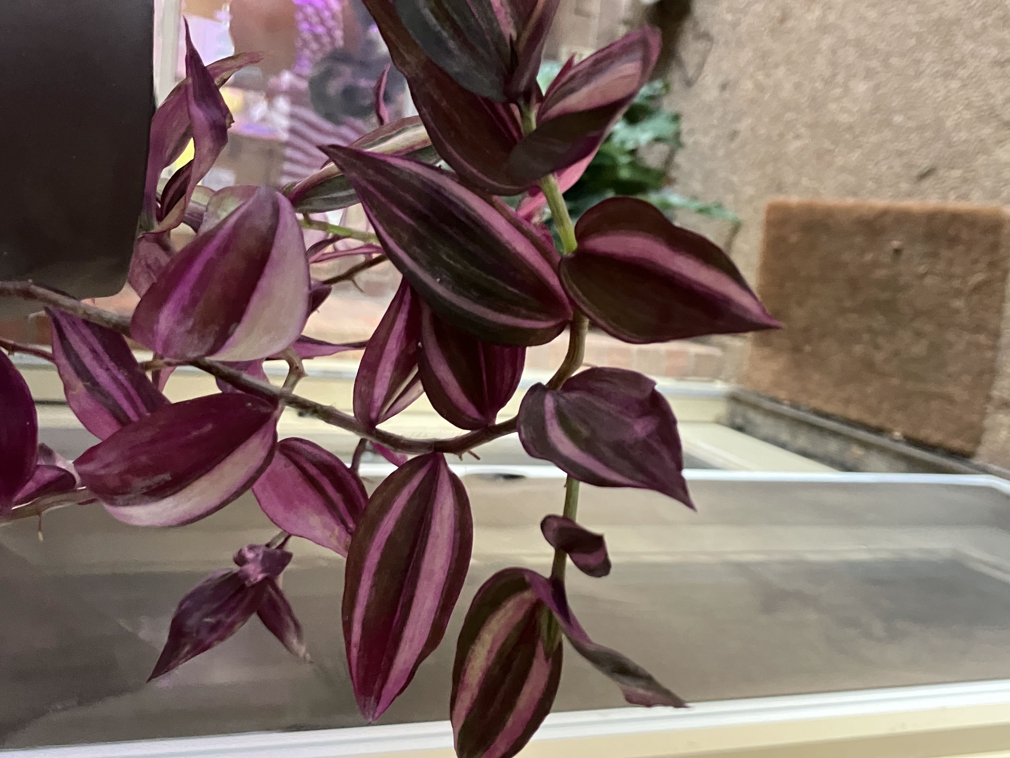 Photo from the post