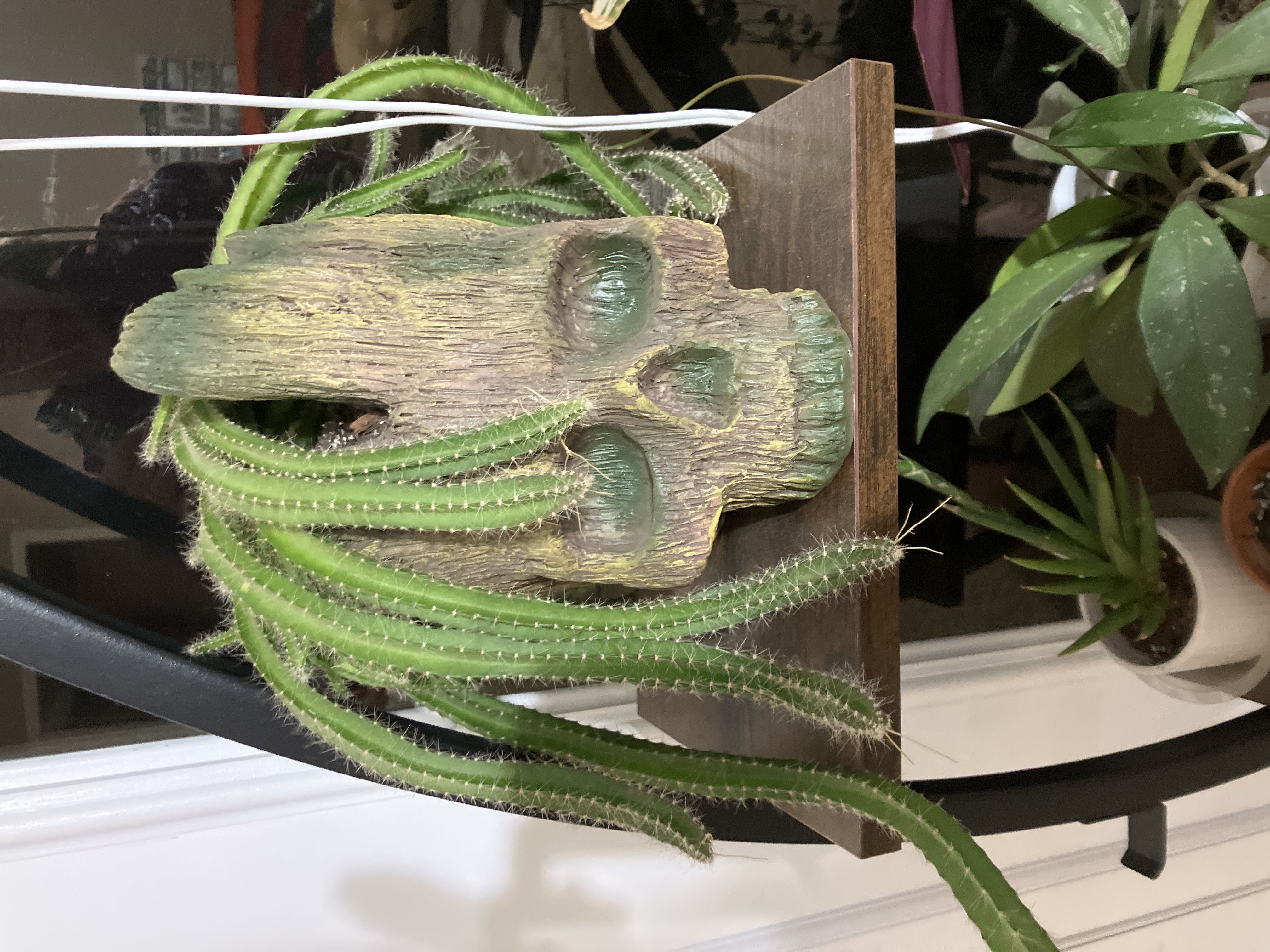 Photo from the post