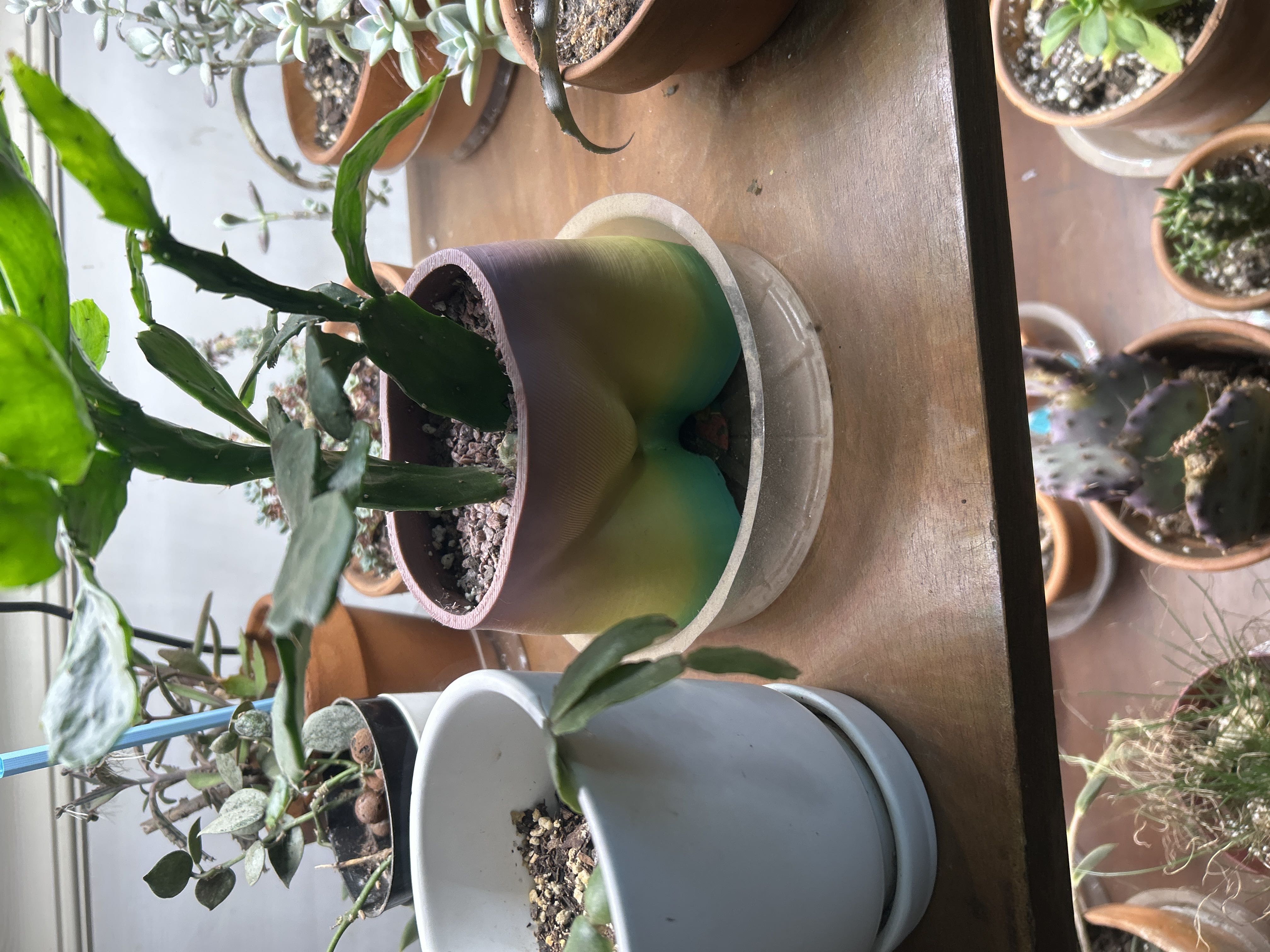 Photo from the post