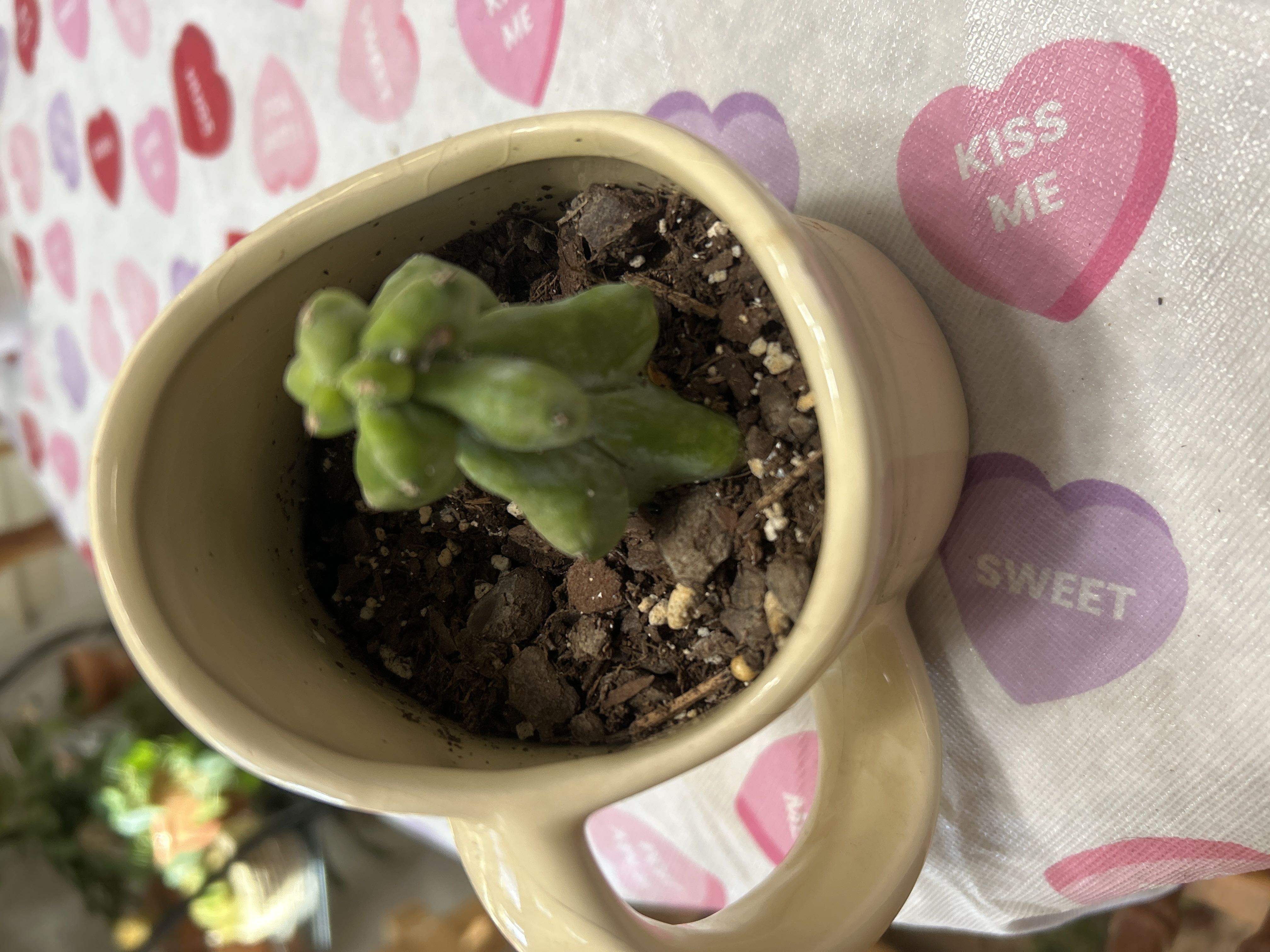 Photo from the post