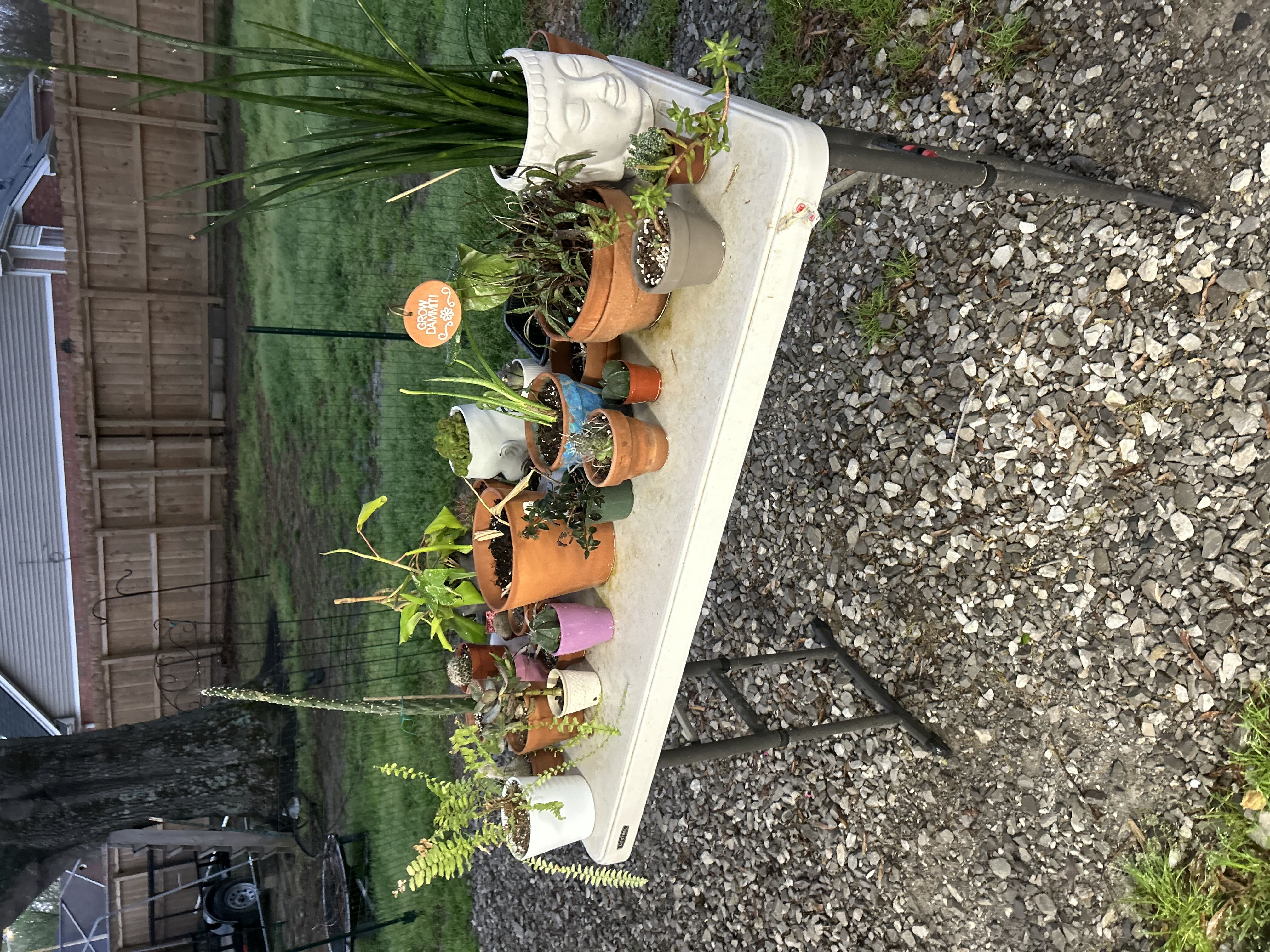 Photo from the post