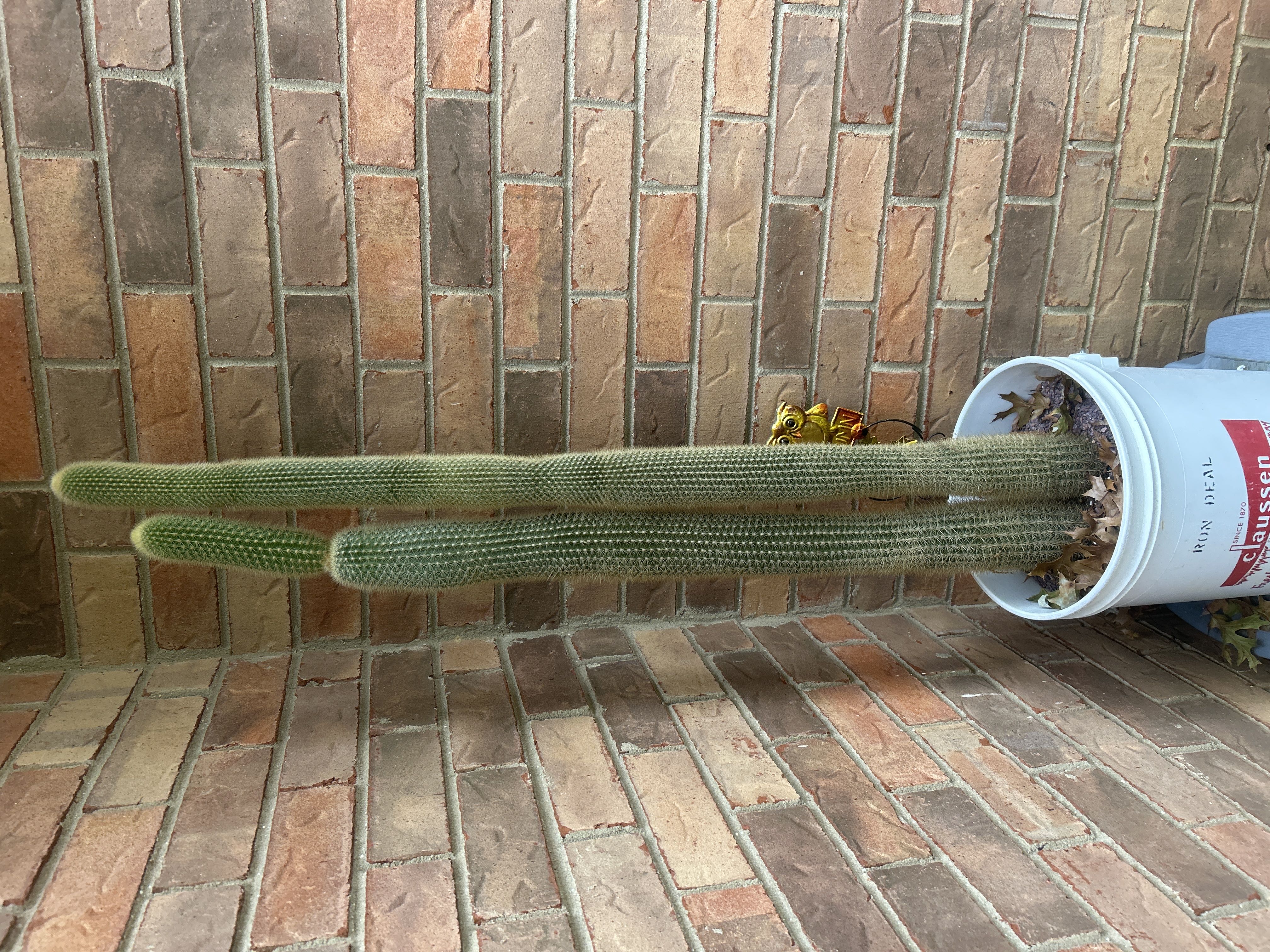Photo from the post