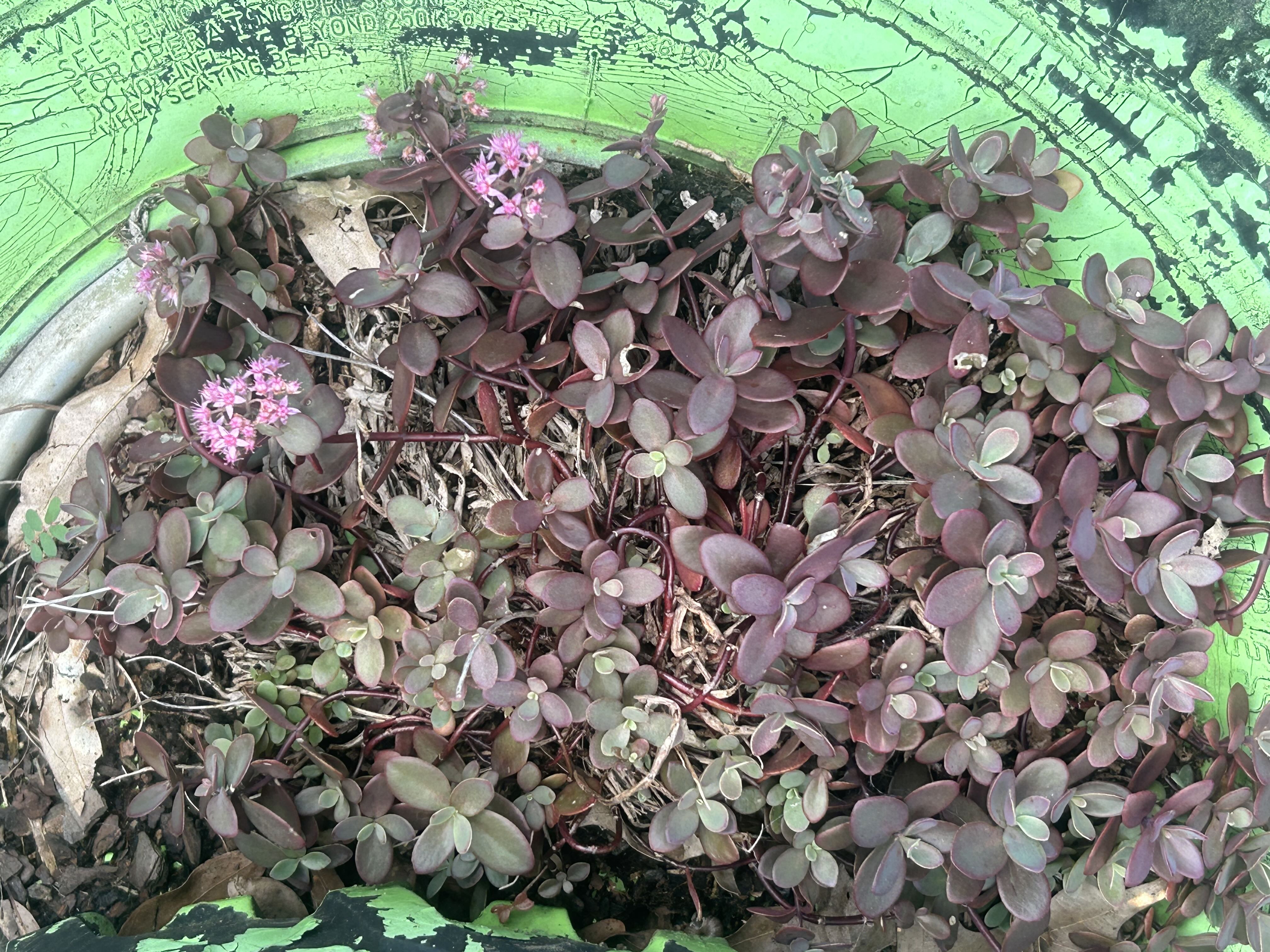 Photo from the post