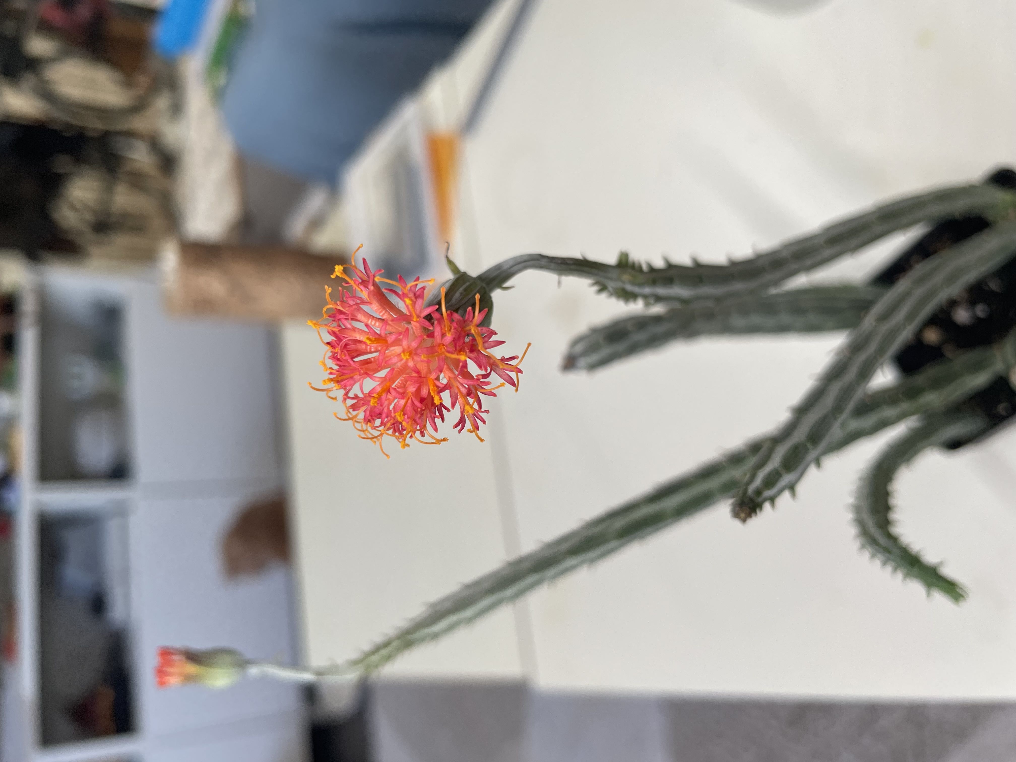 Photo from the post
