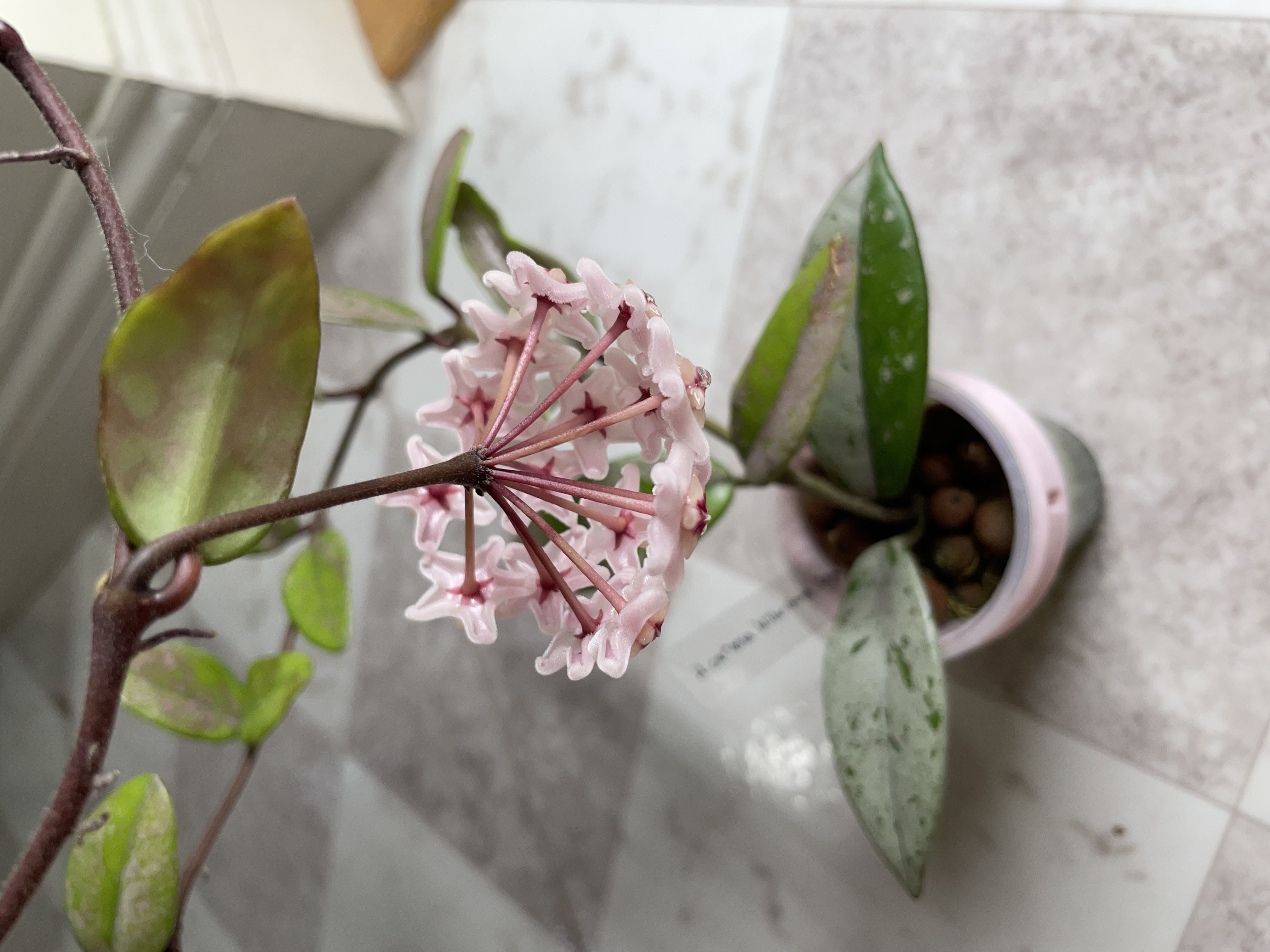 Photo from the post