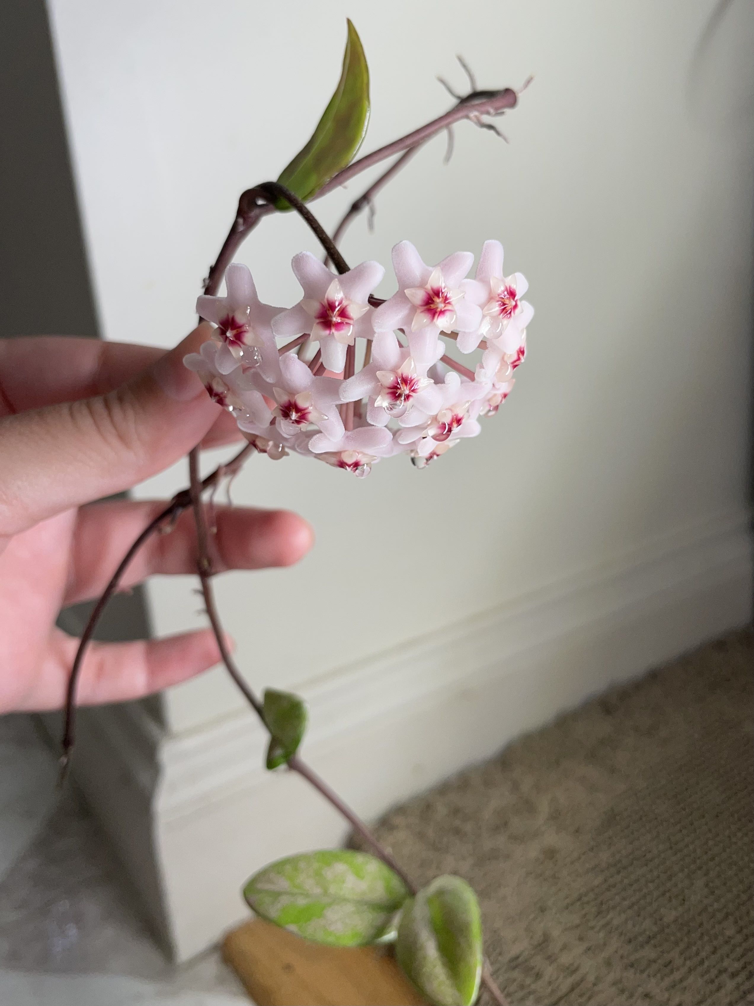 Photo from the post