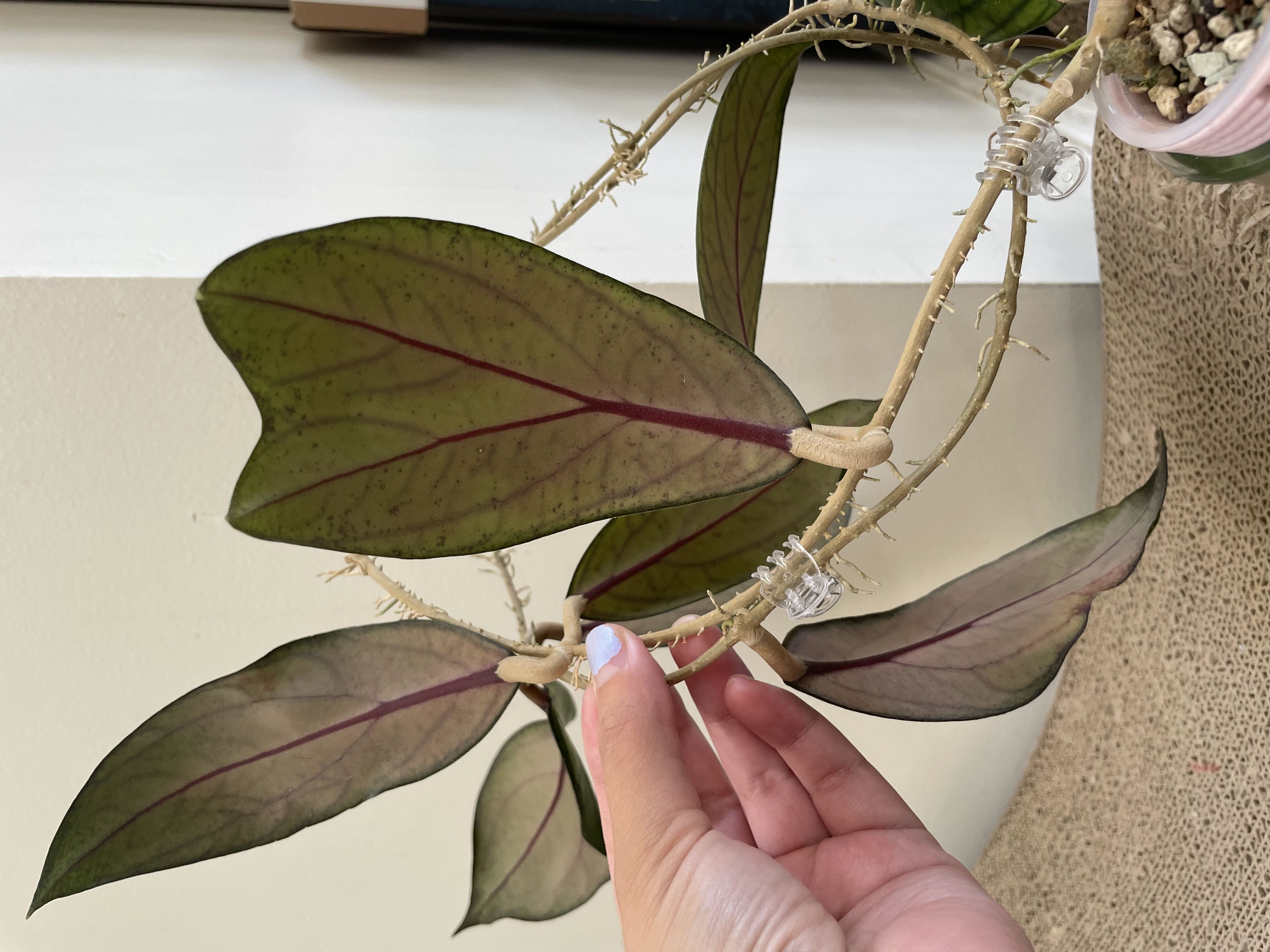 Photo from the post
