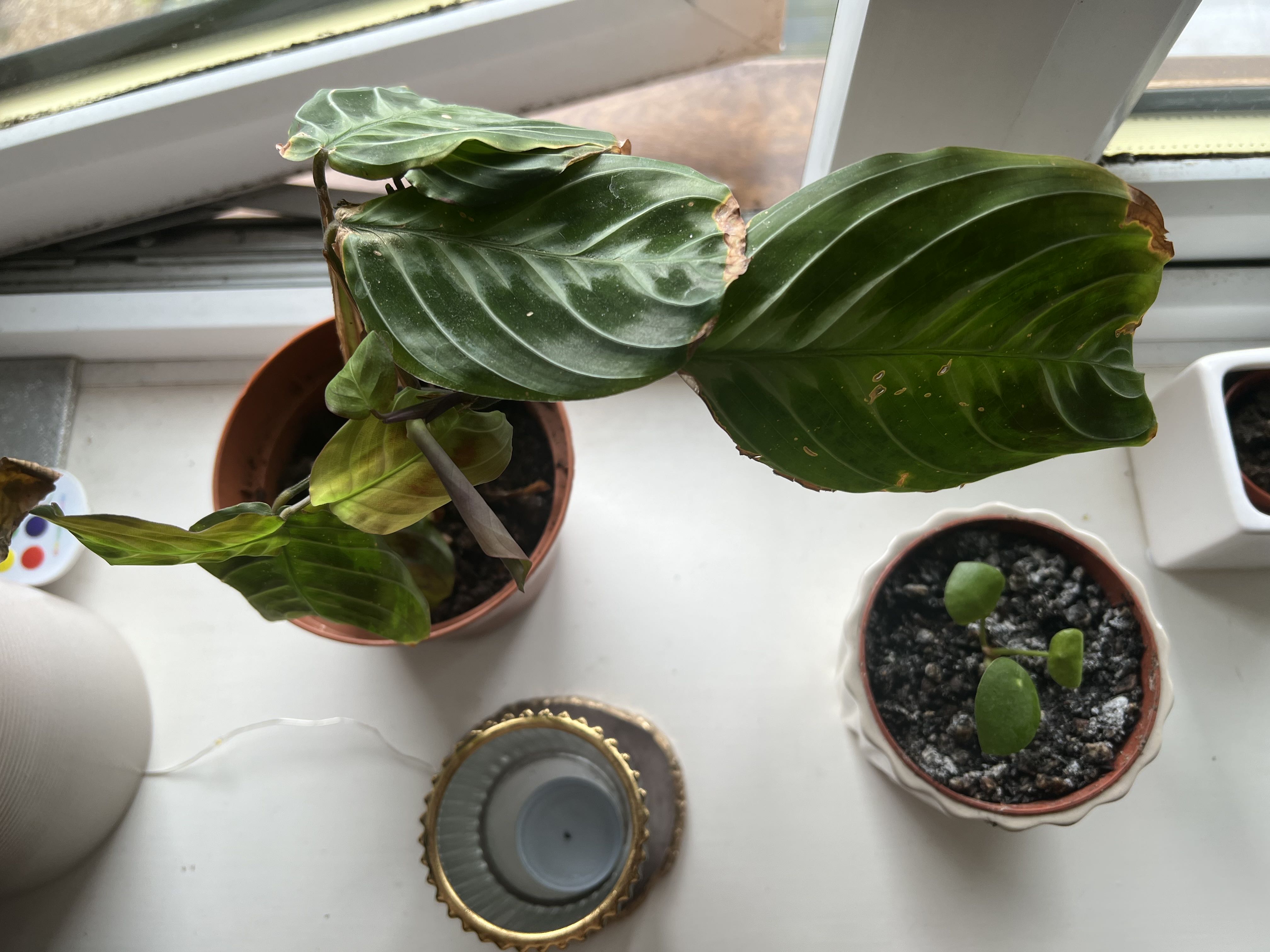Photo from the post