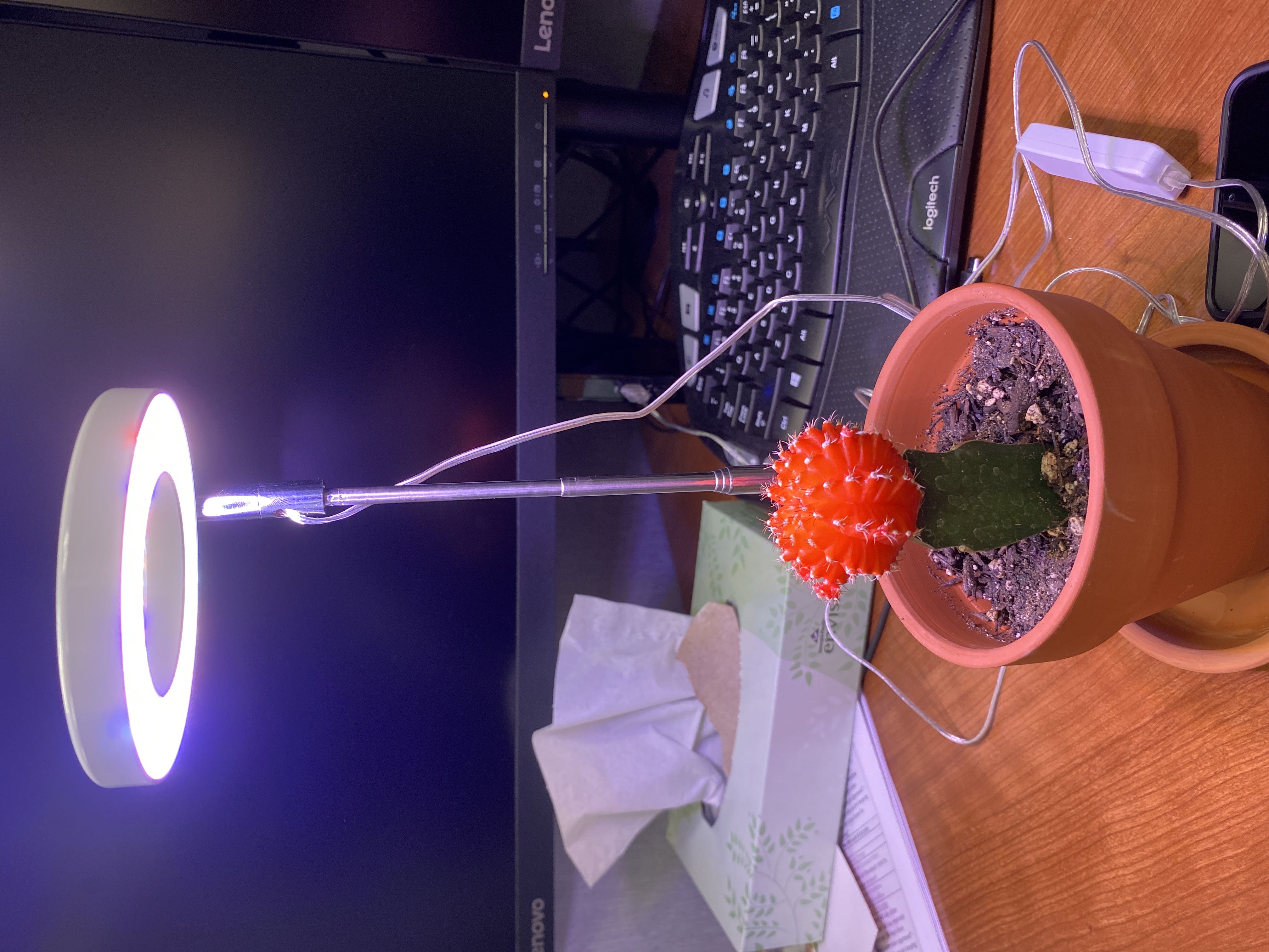 Budget setups and pro upgrades