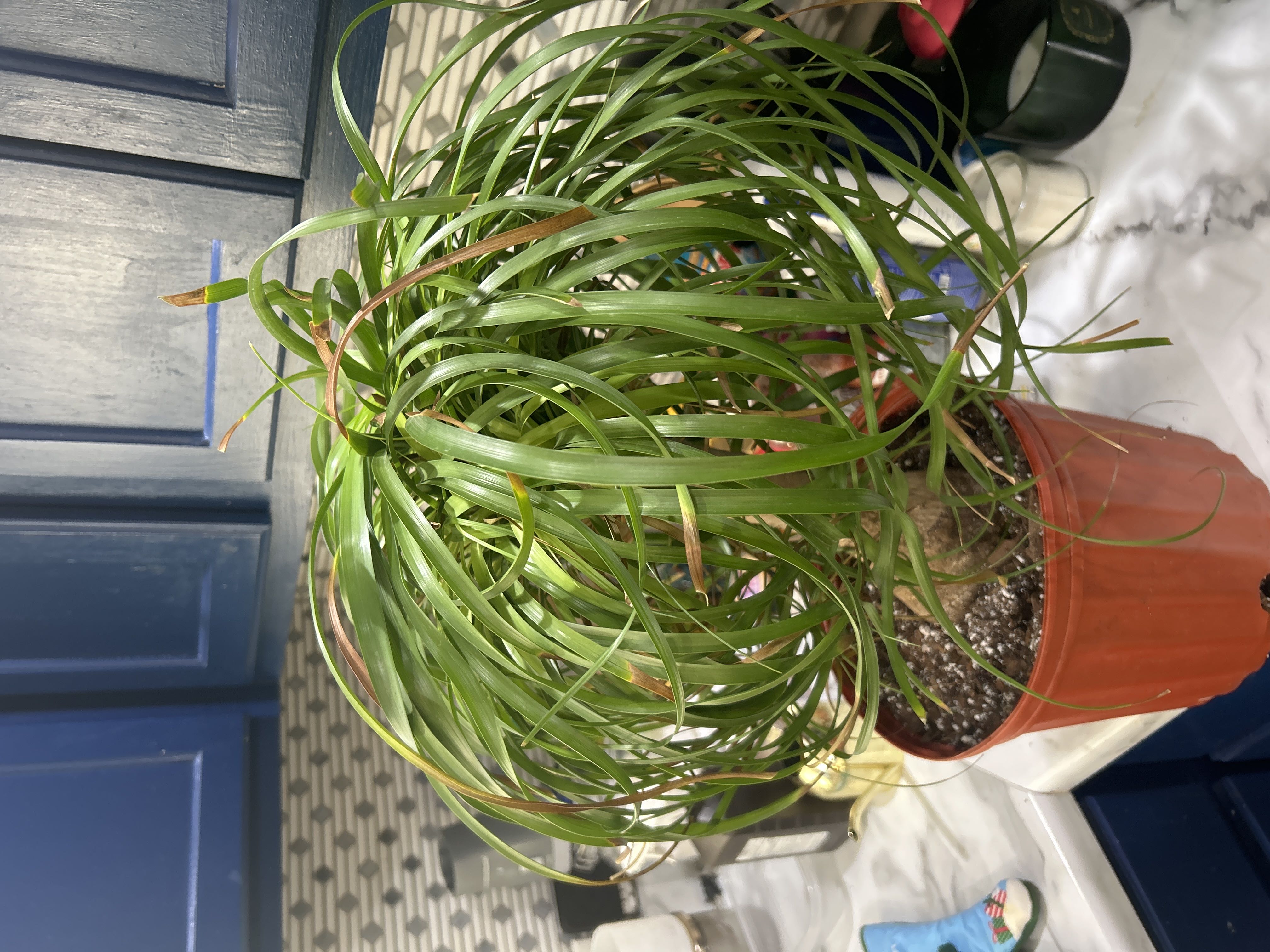 Photo from the post