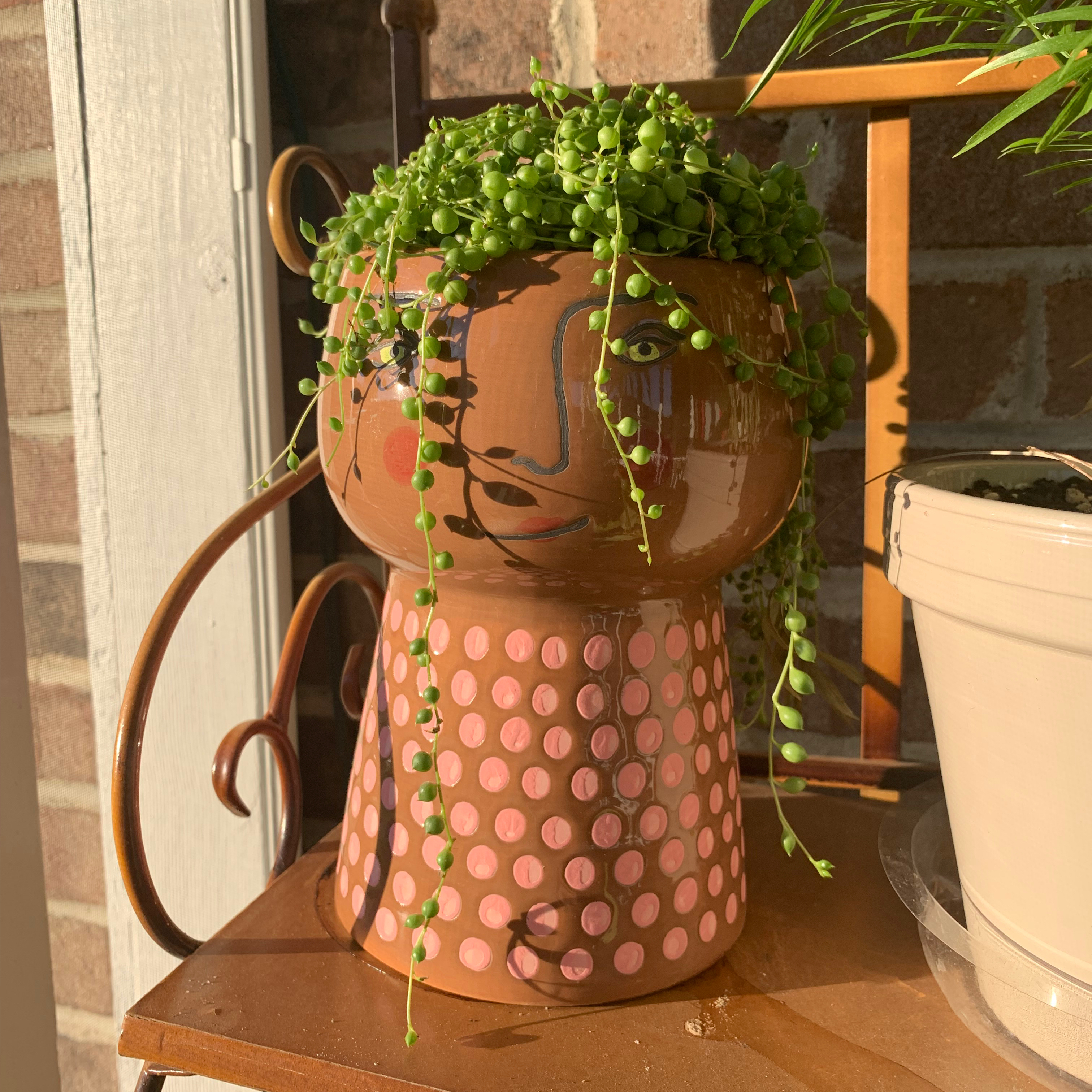 String of Pearls plant photo by @Plantinthecity named Pearl on Greg, the plant care app.