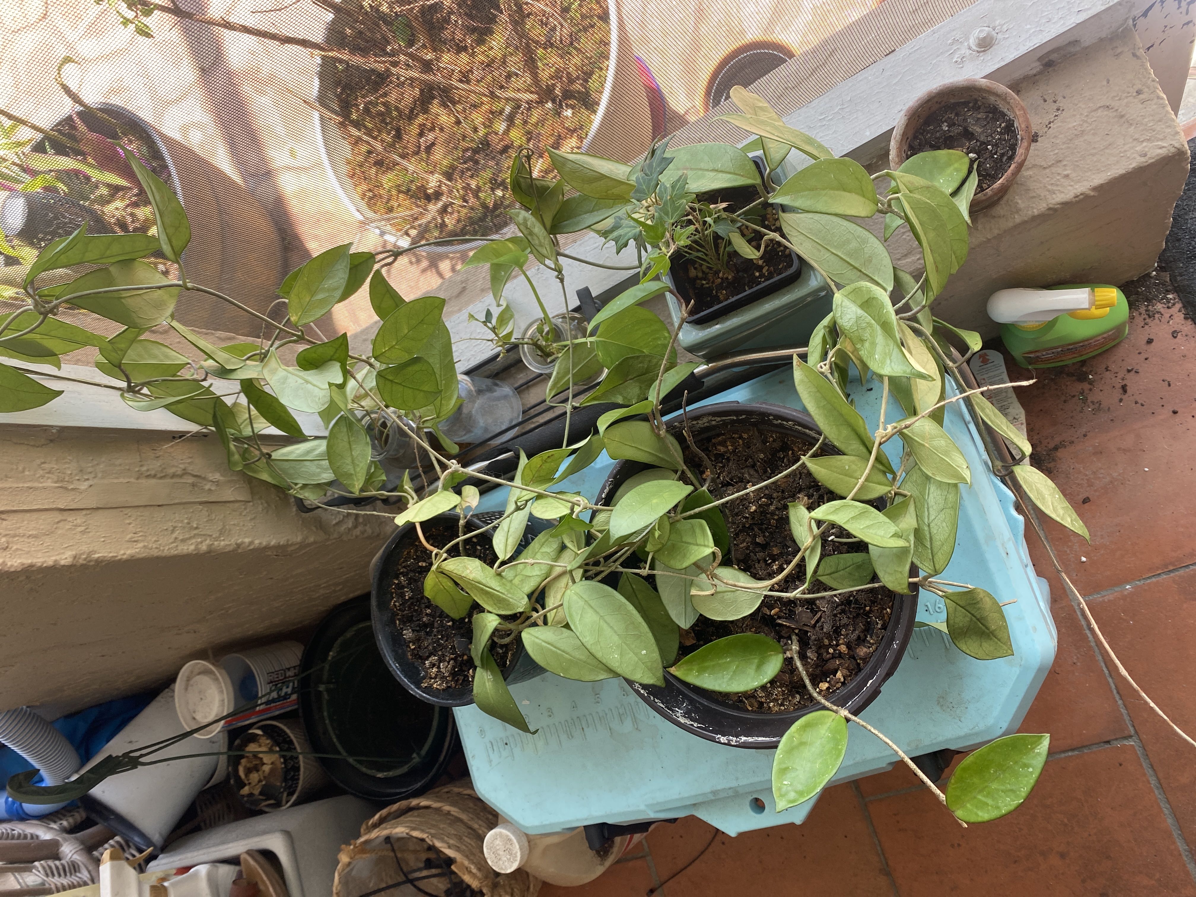 Photo from the post