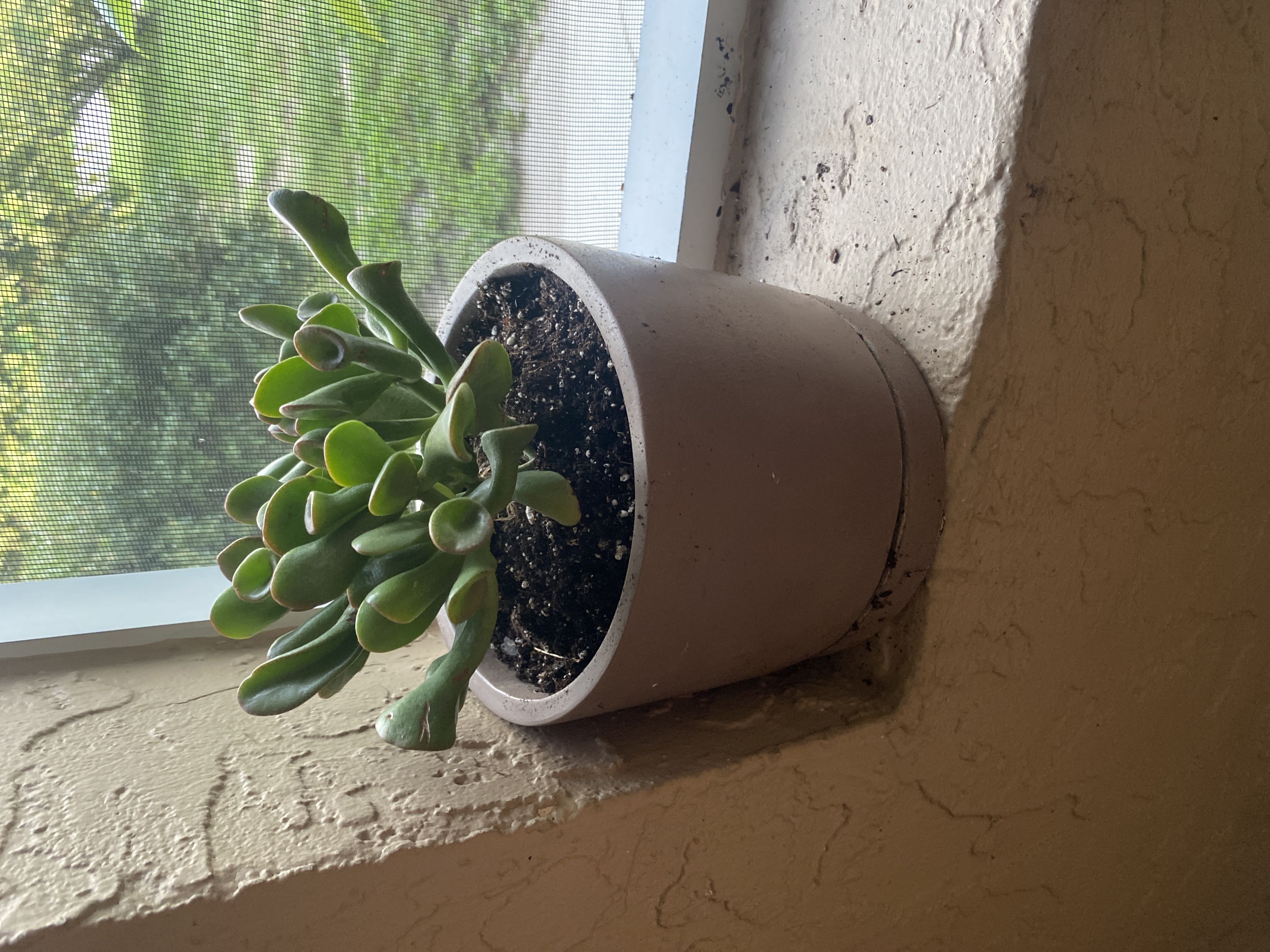 Photo from the post
