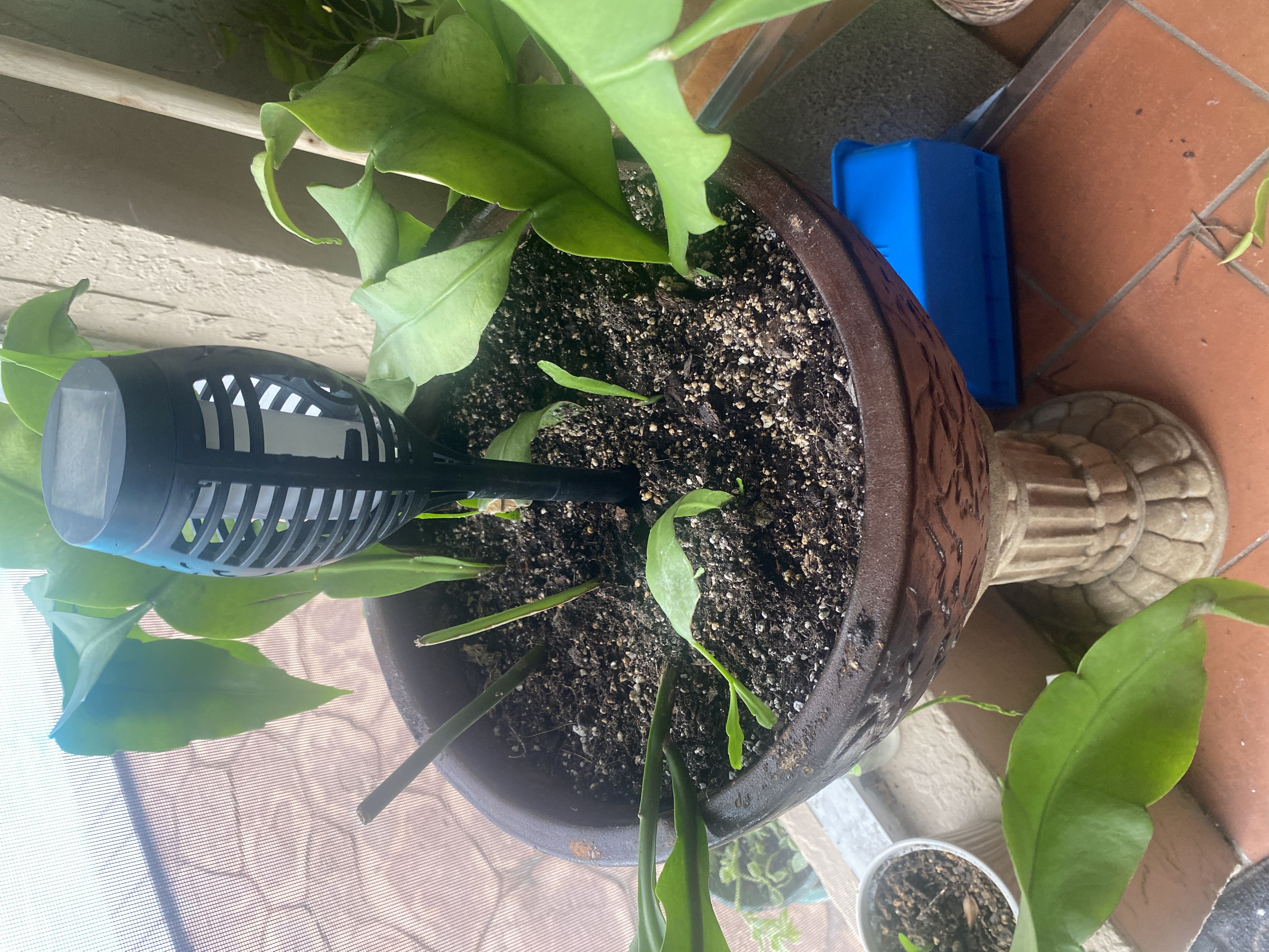 Photo from the post