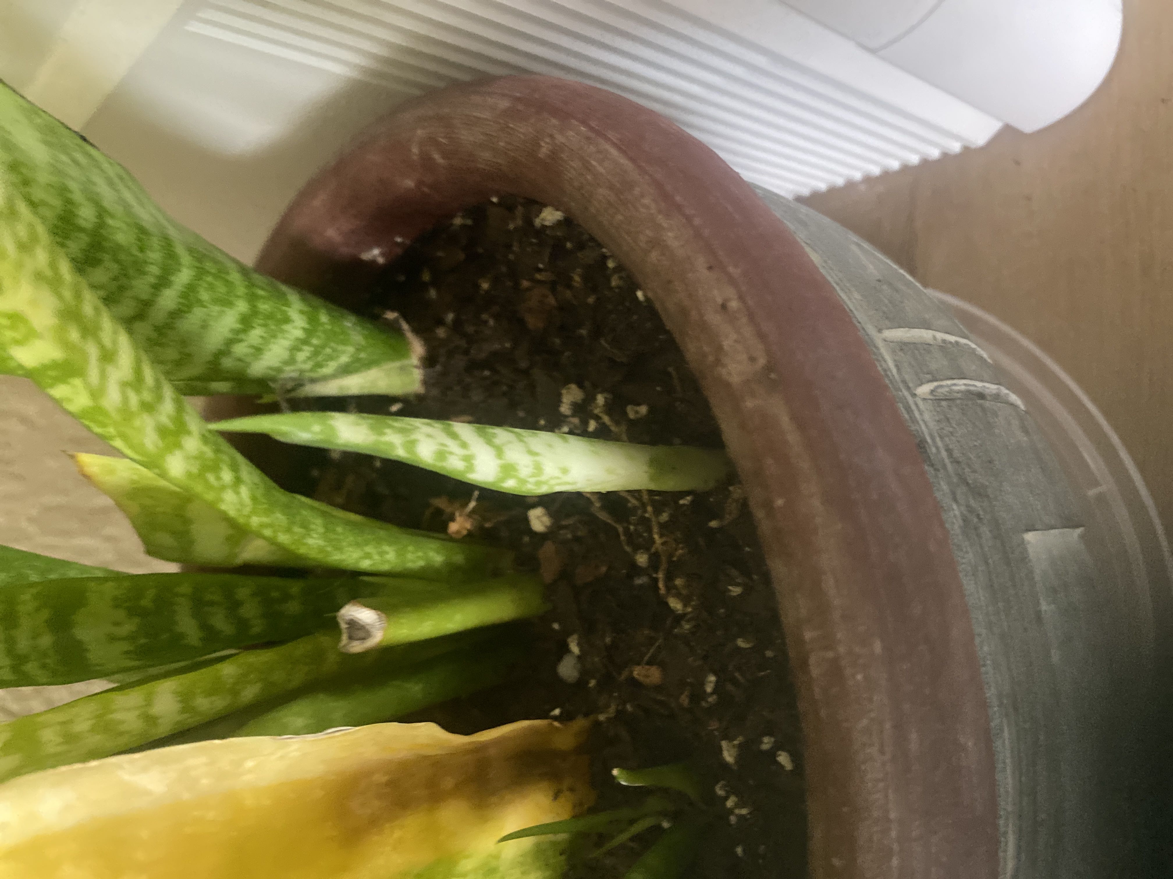 Photo from the post
