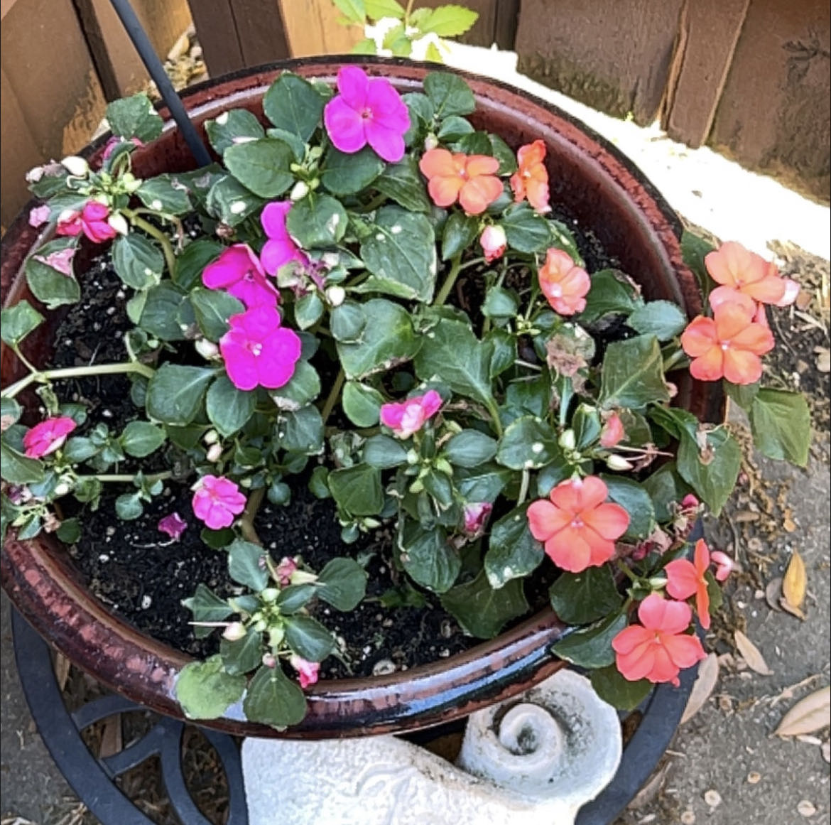 Photo from the post