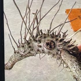 Photo of the plant species American Sweetgum by @AffableRedpine named Osmo on Greg, the plant care app