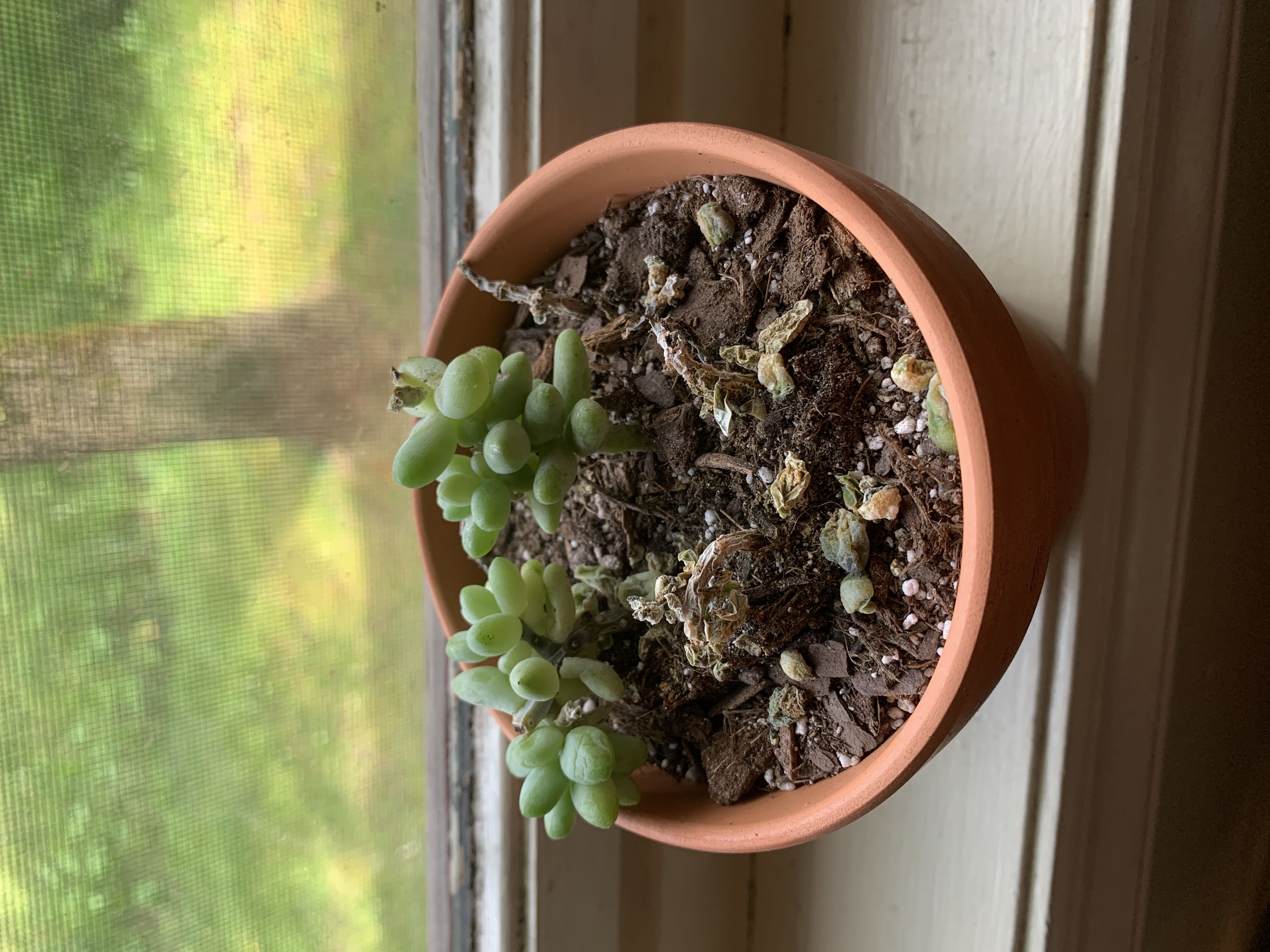 Photo from the post
