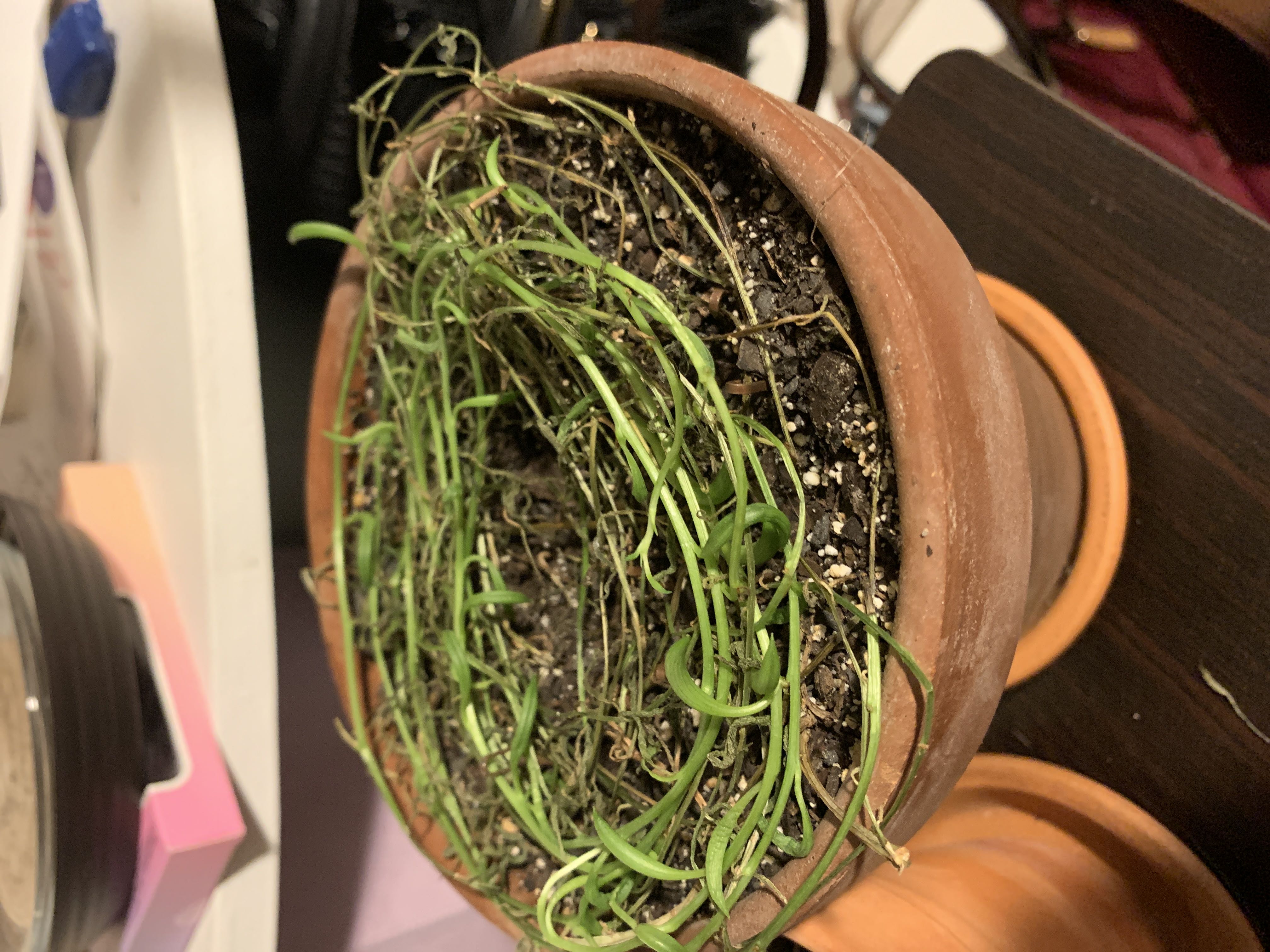 Photo from the post