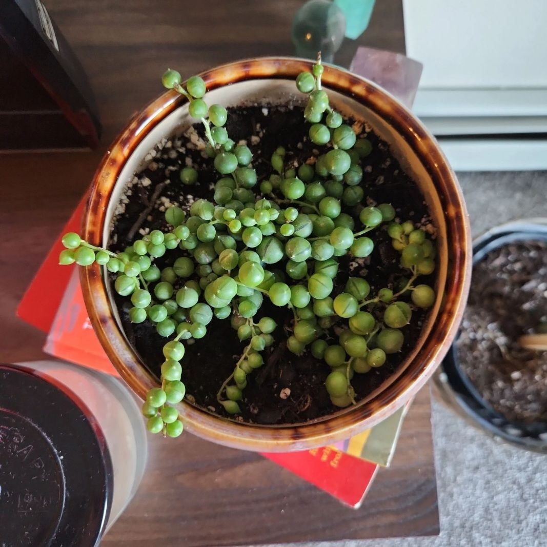 Photo from the post