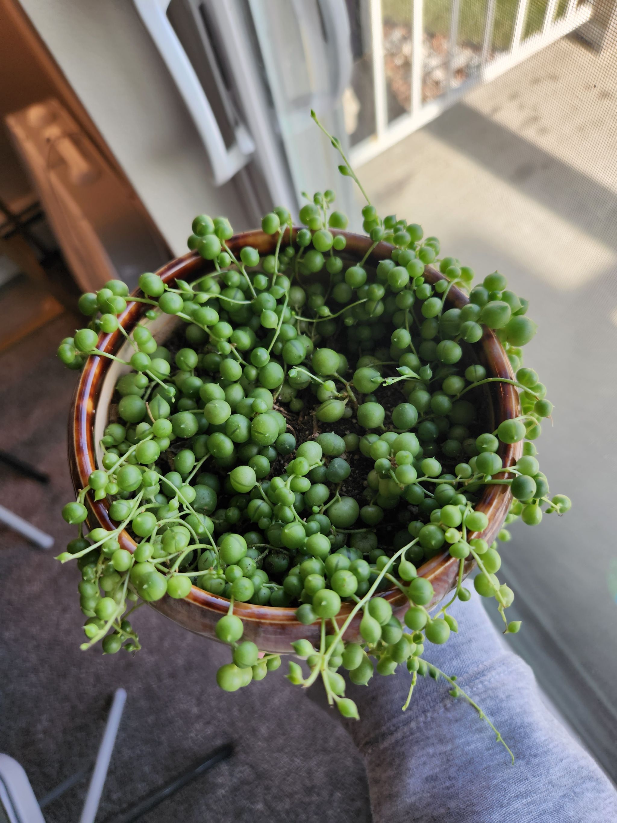 Photo from the post