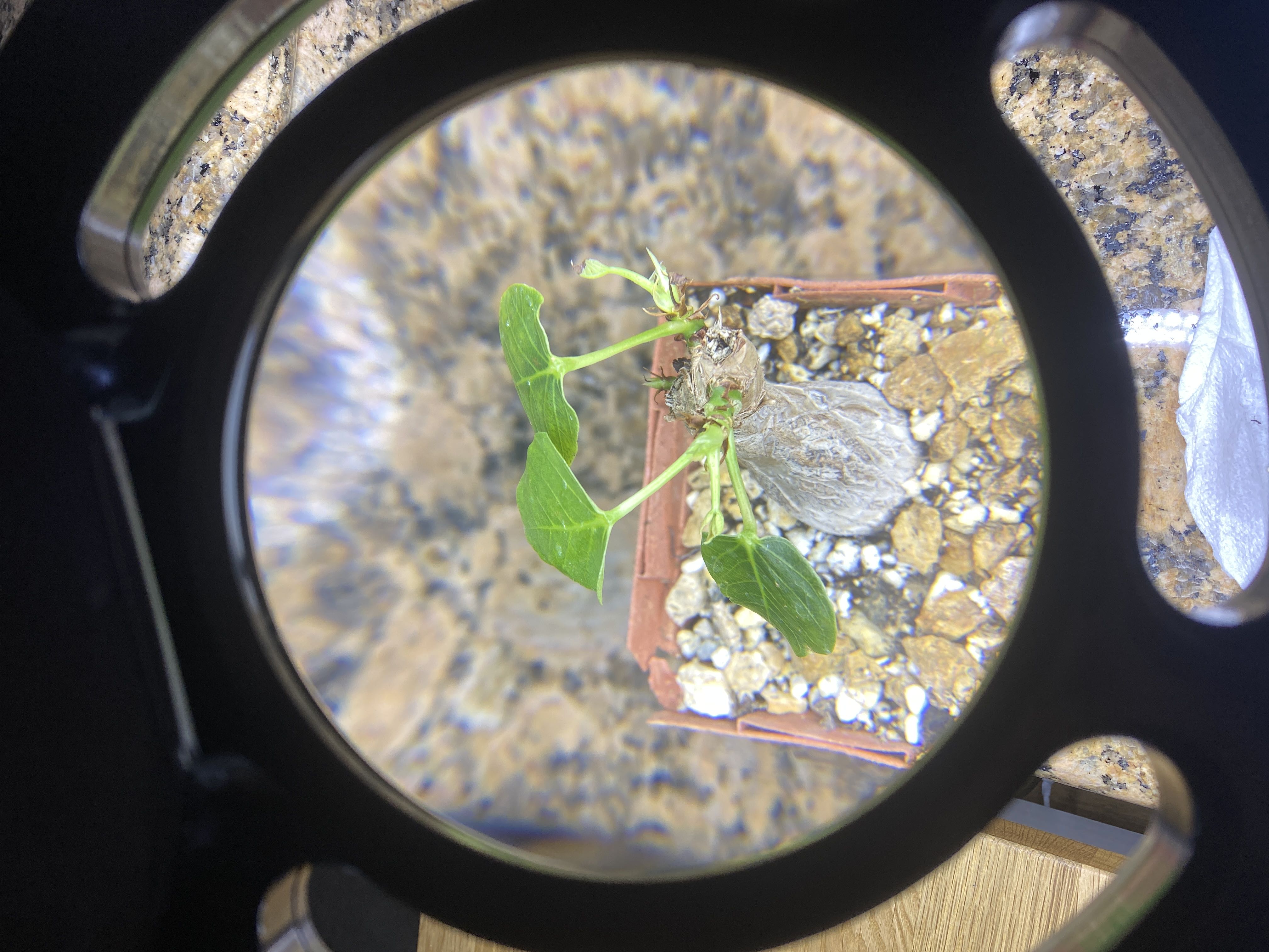Photo from the post