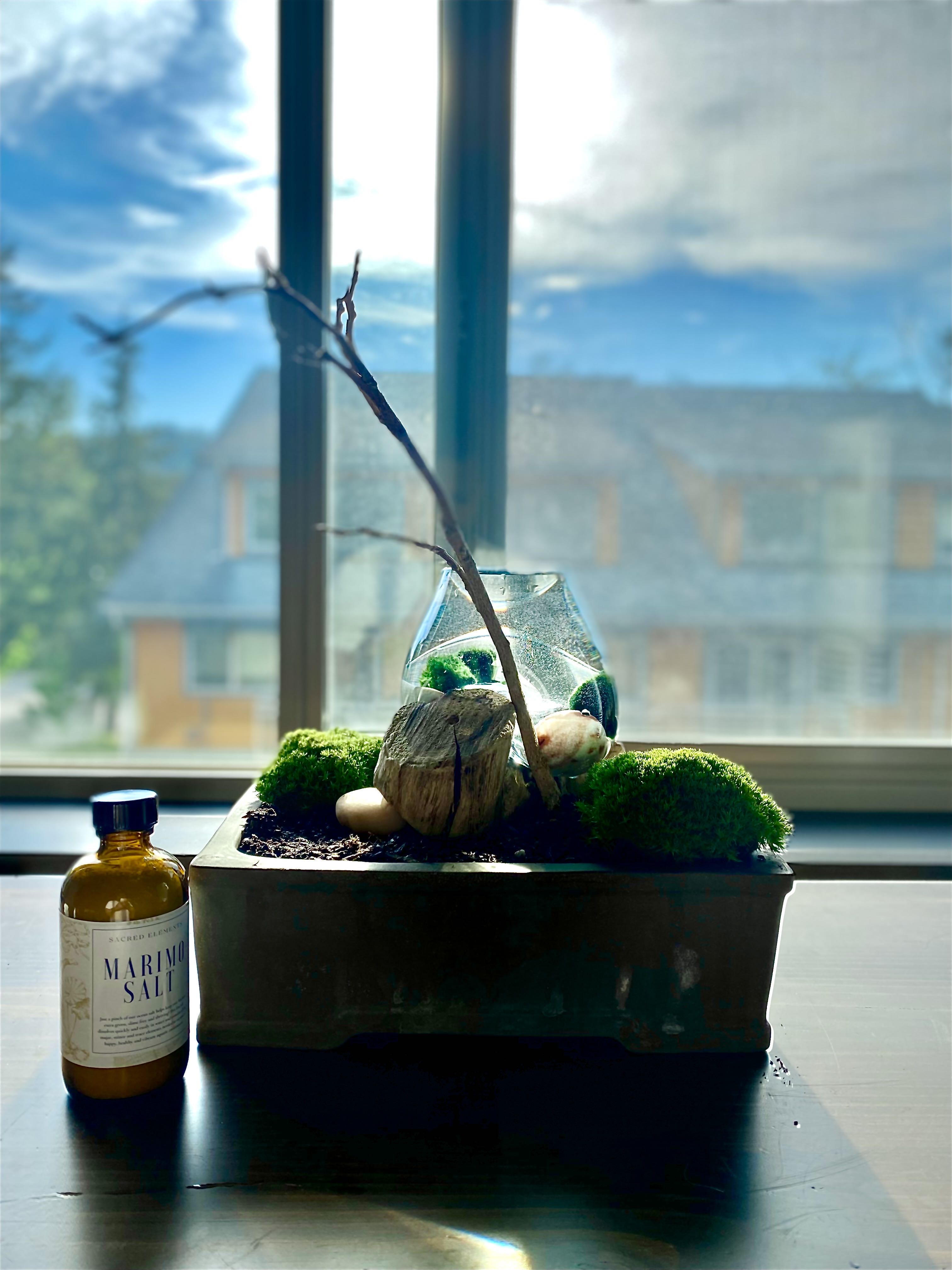 Photo from the post