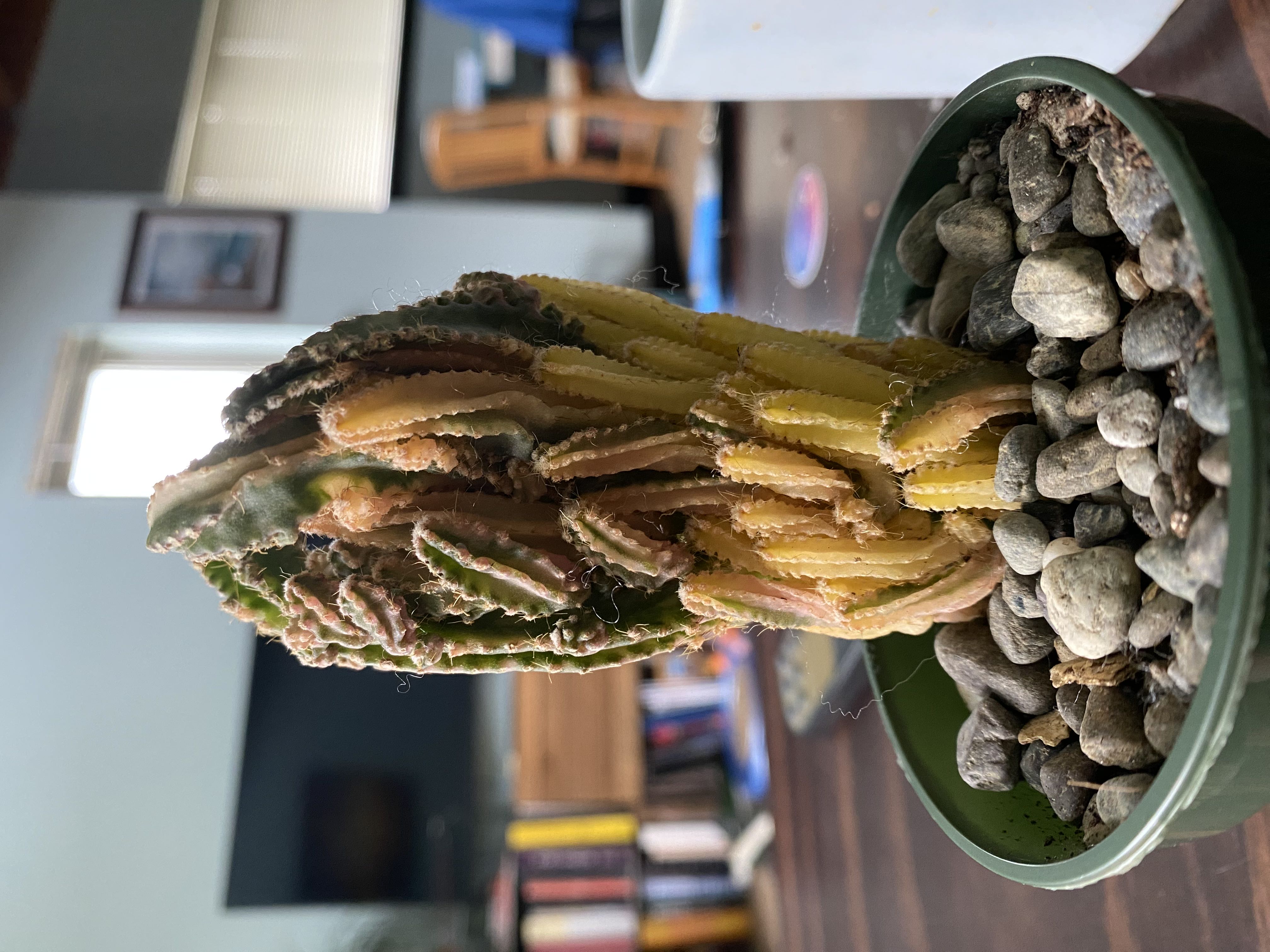 Photo from the post