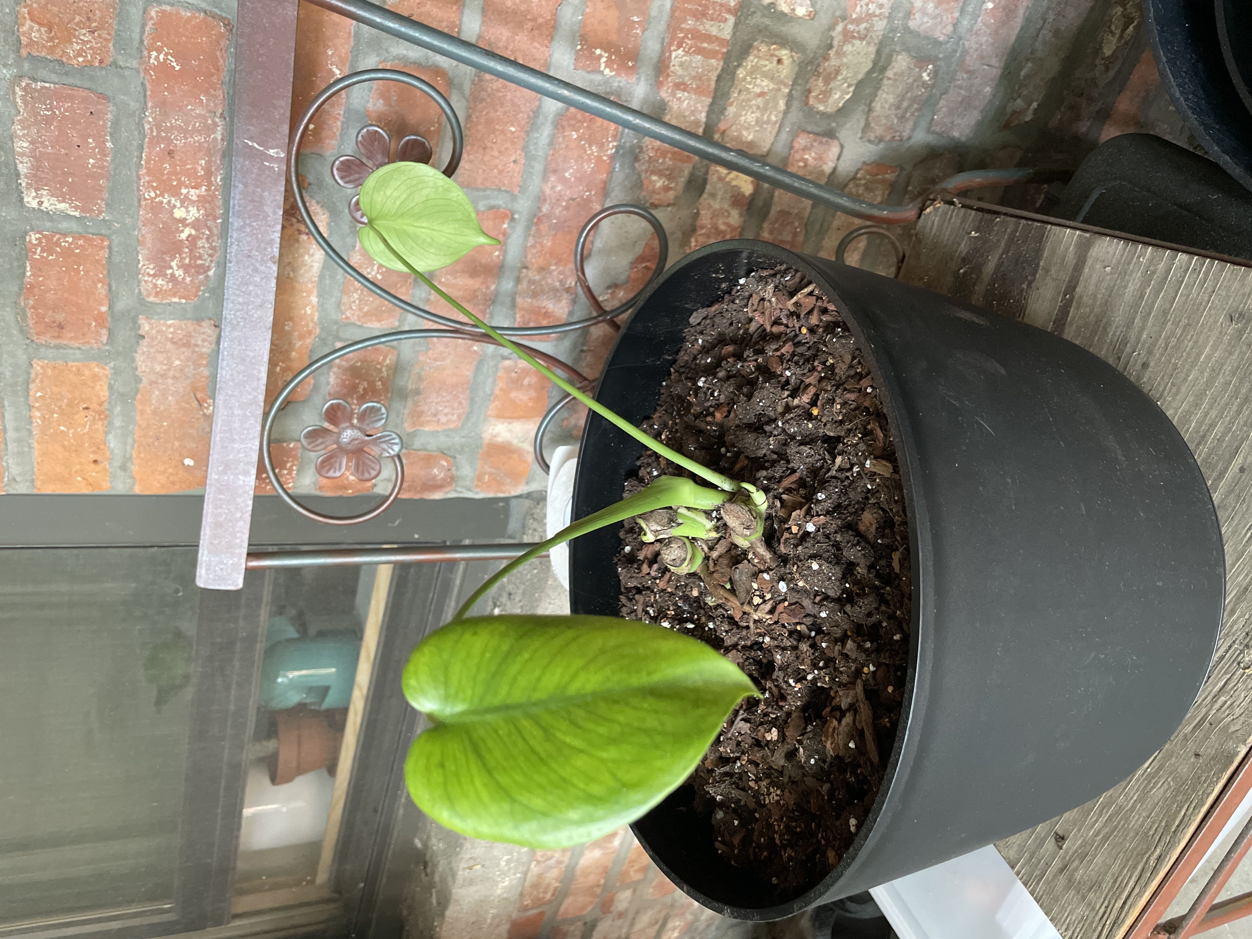 Photo from the post