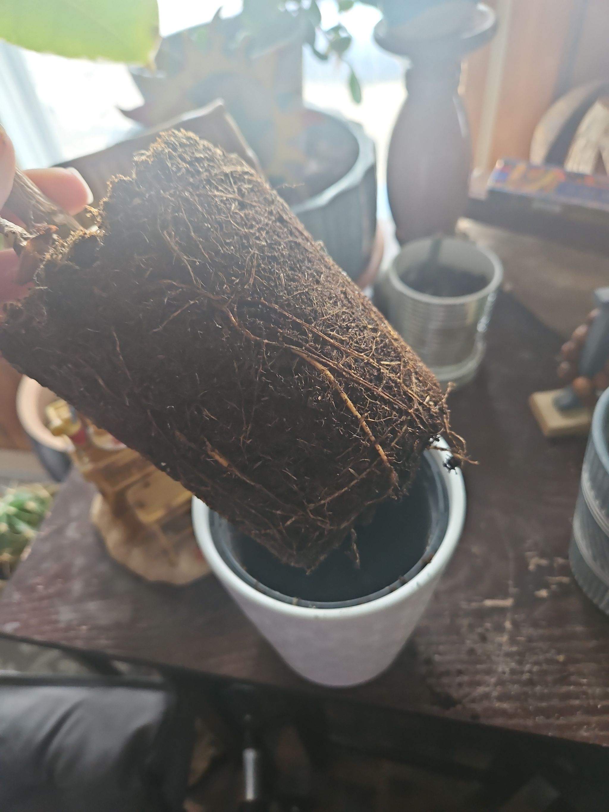 Photo from the post