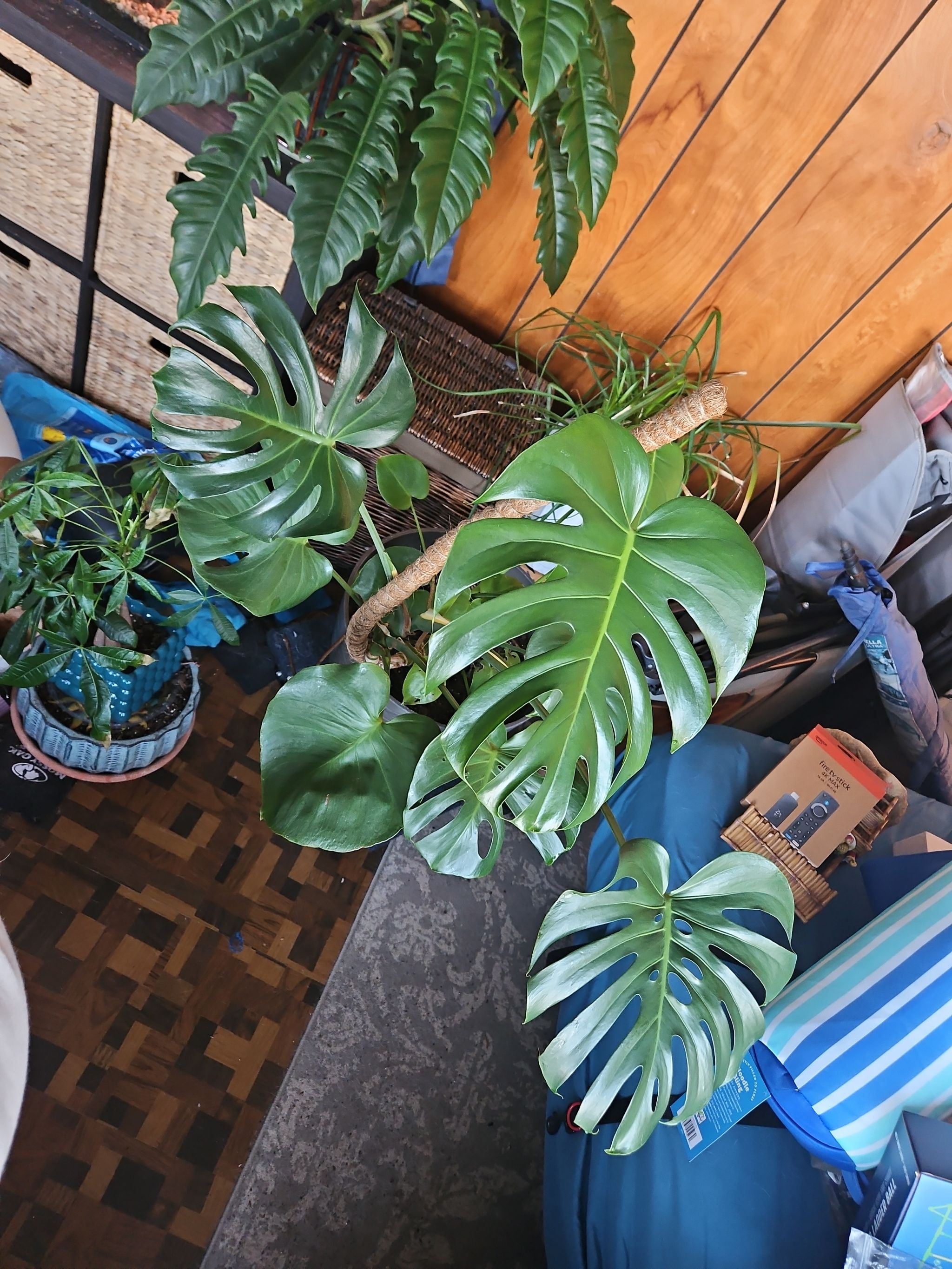 Photo from the post