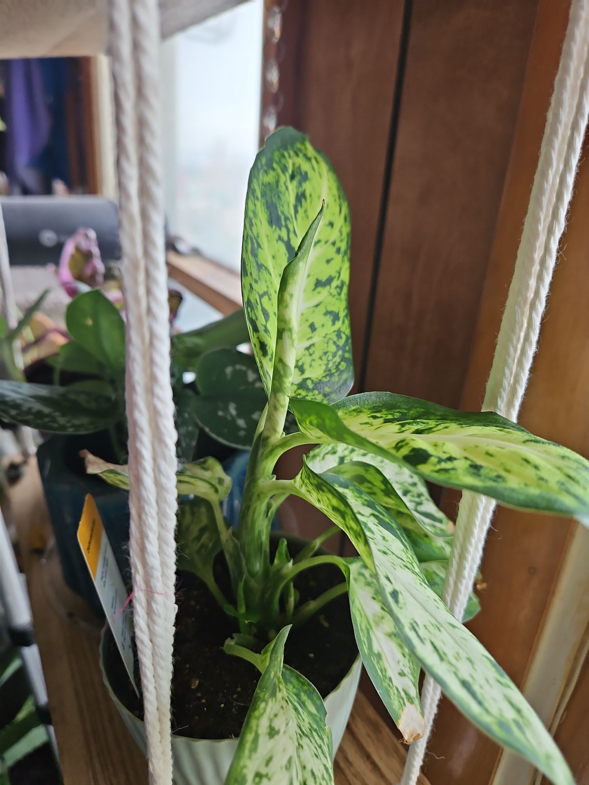 Photo from the post