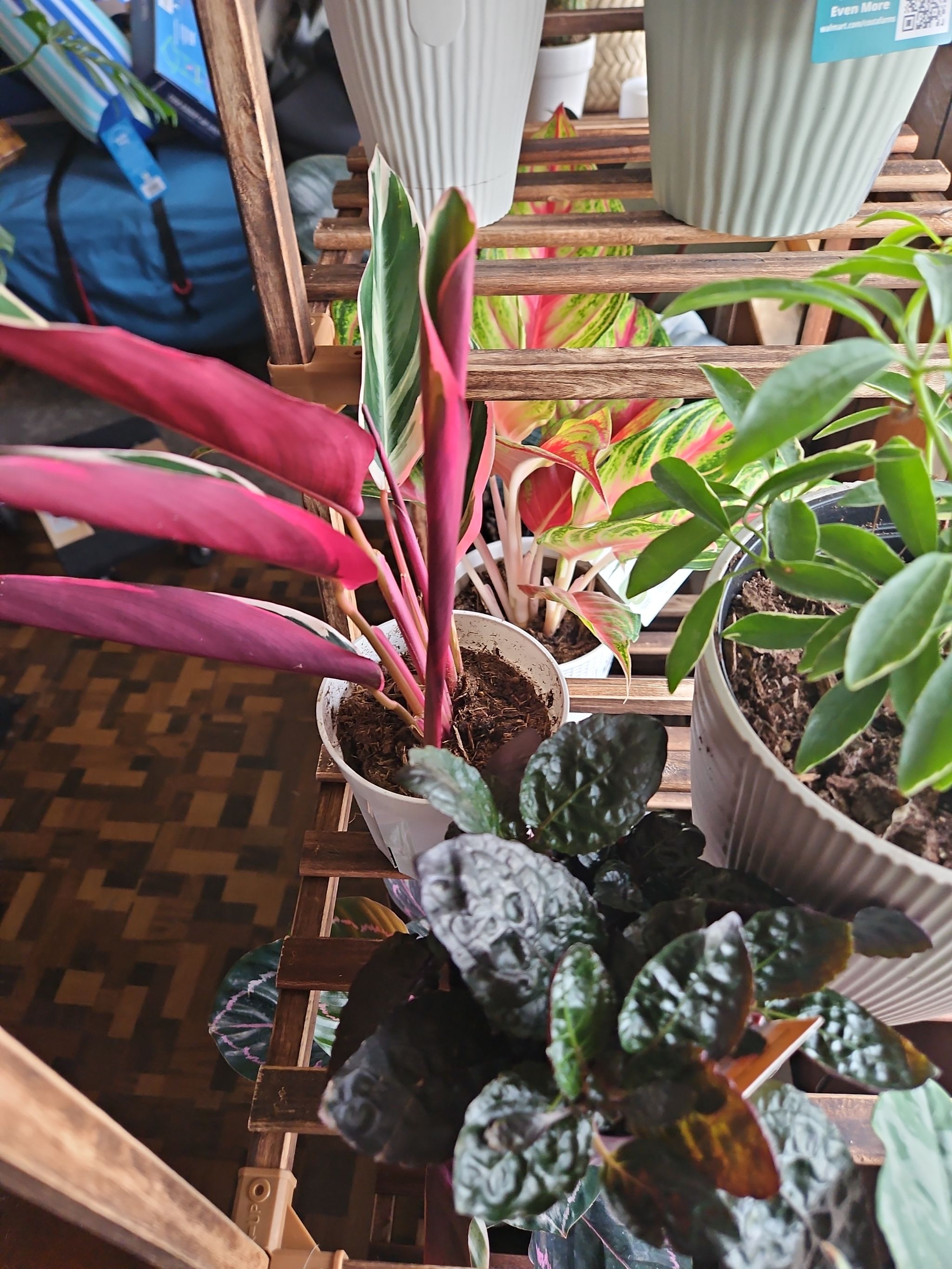 Photo from the post