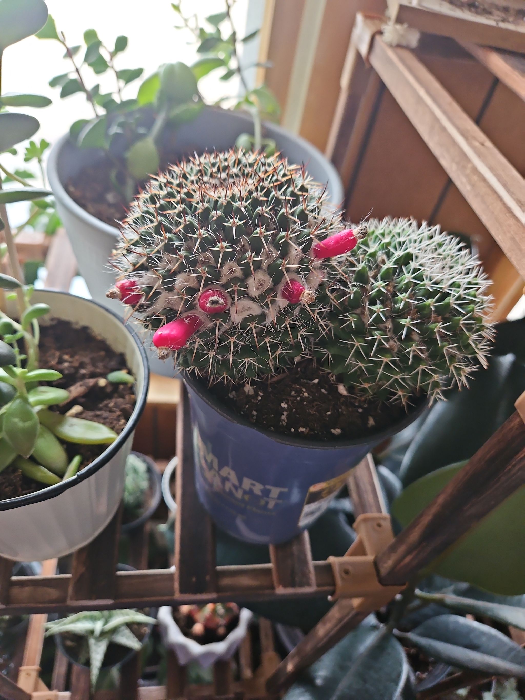 Photo from the post