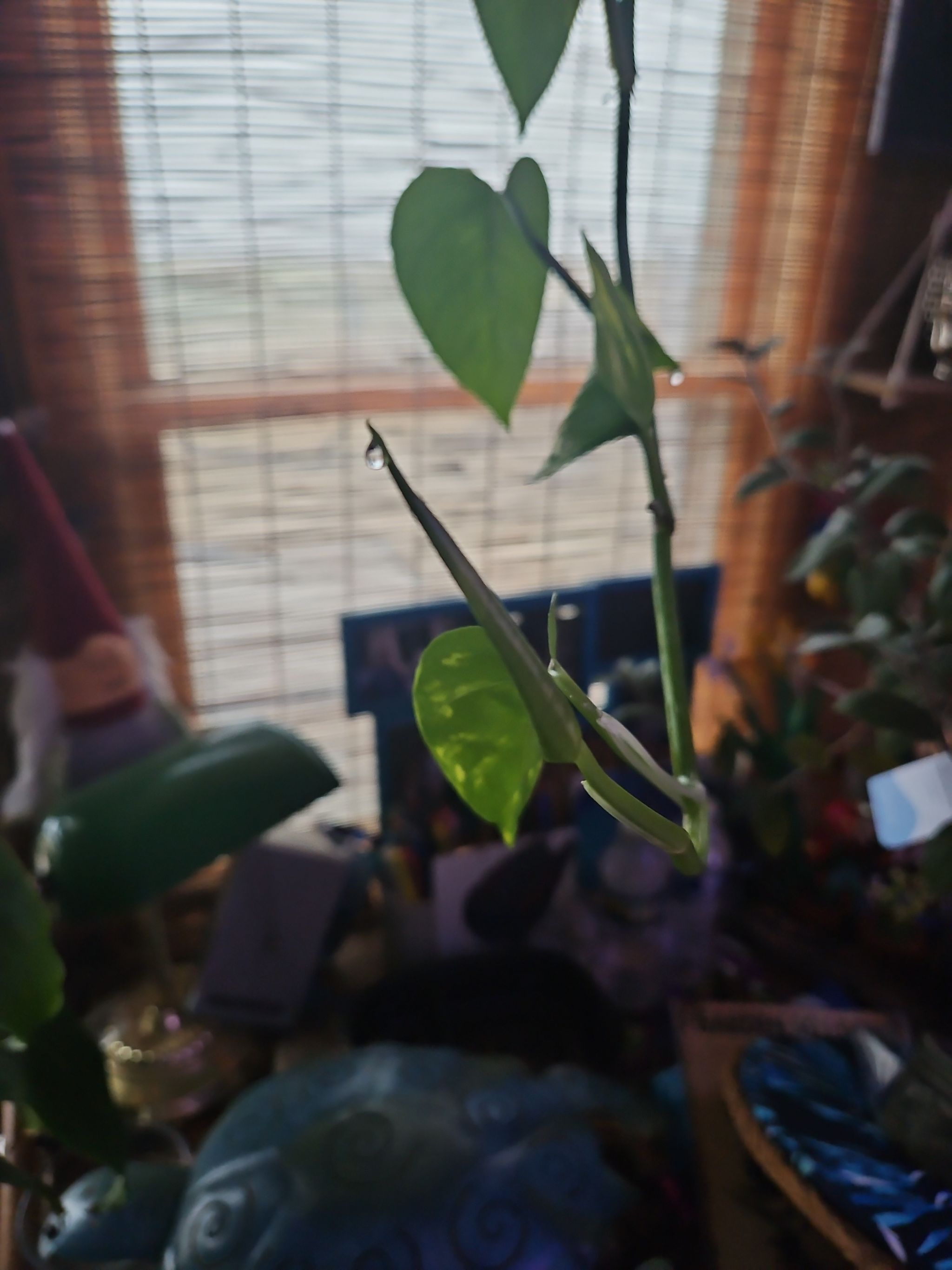 Photo from the post