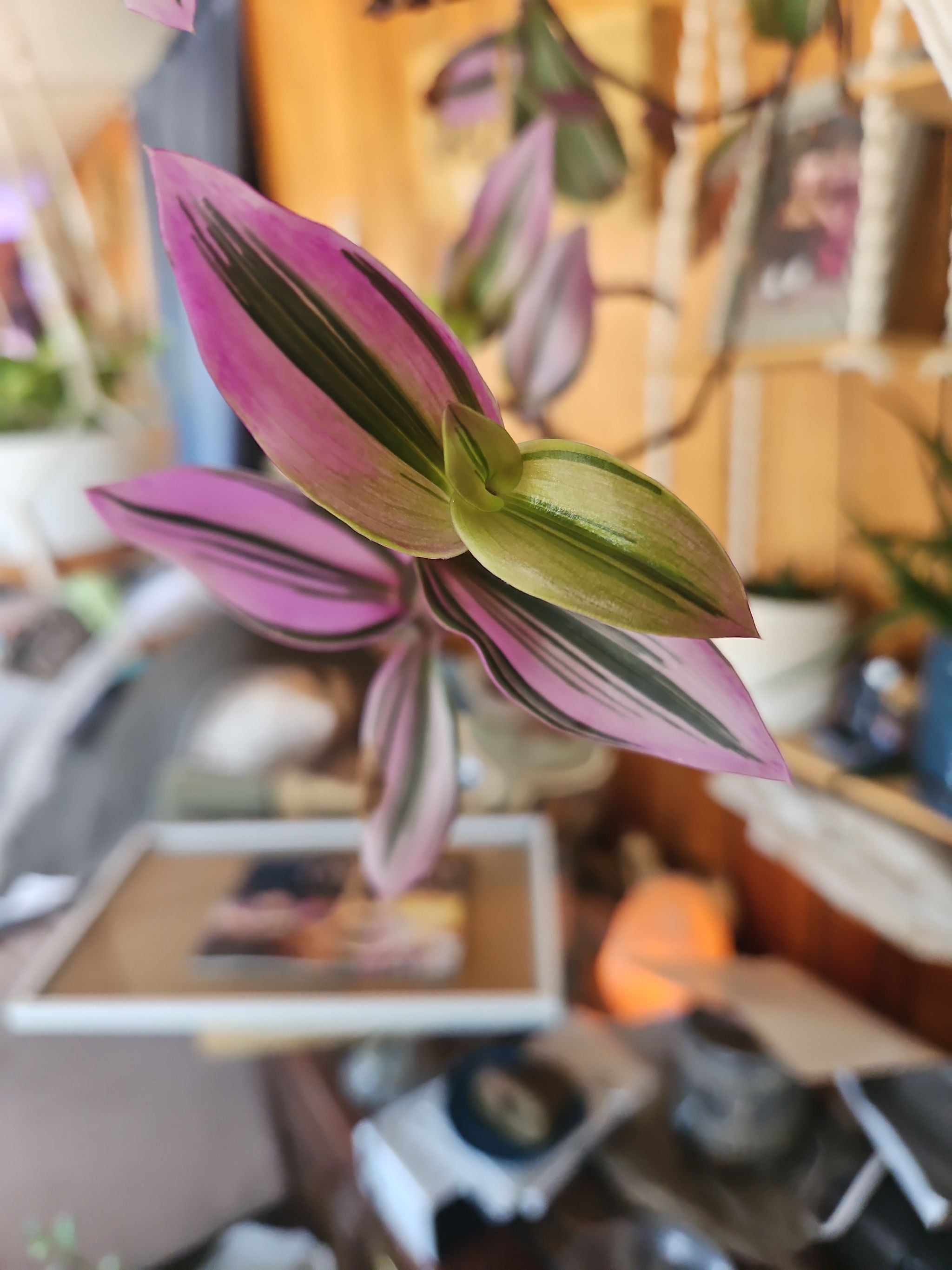 Photo from the post