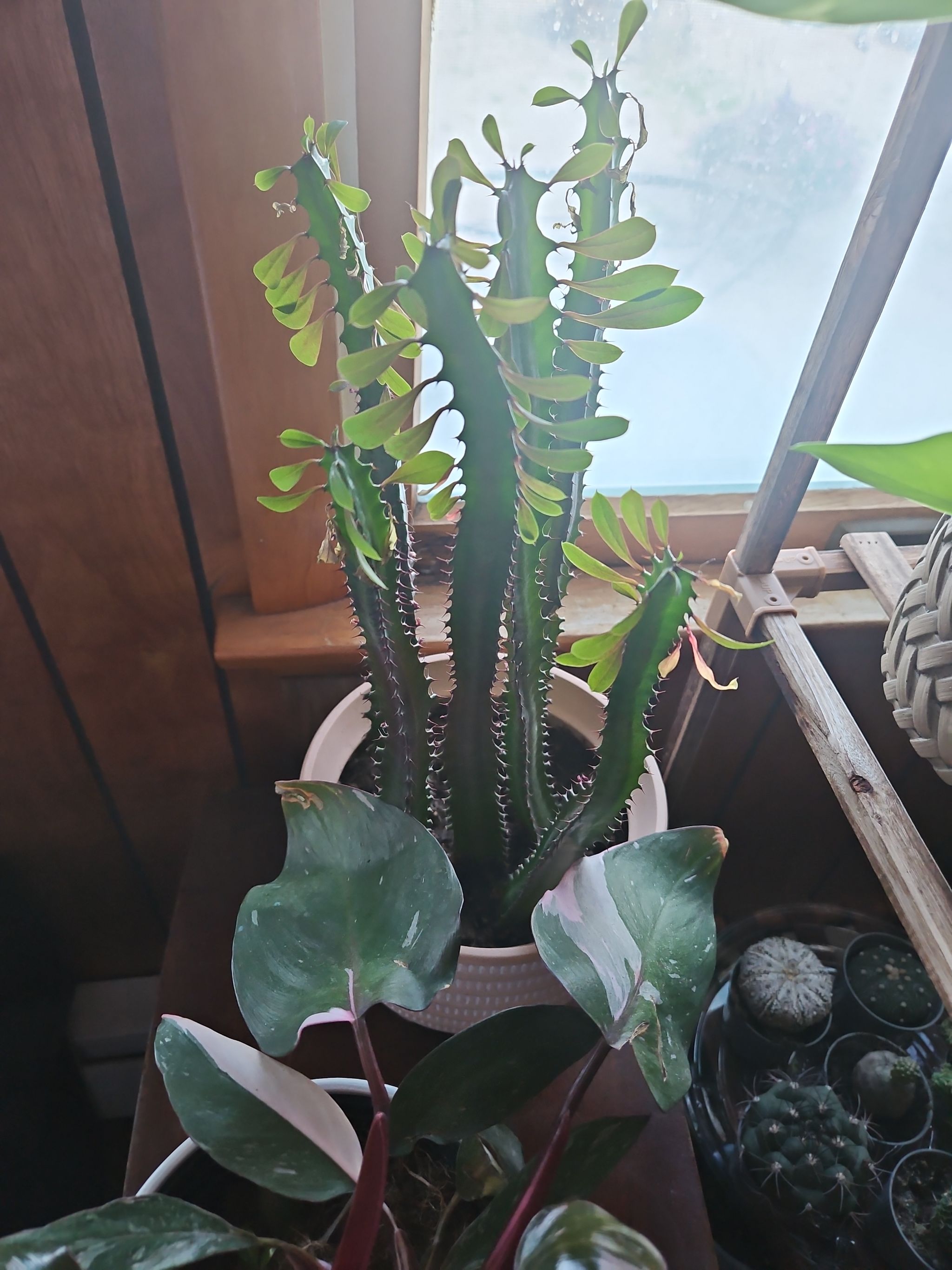 Photo from the post