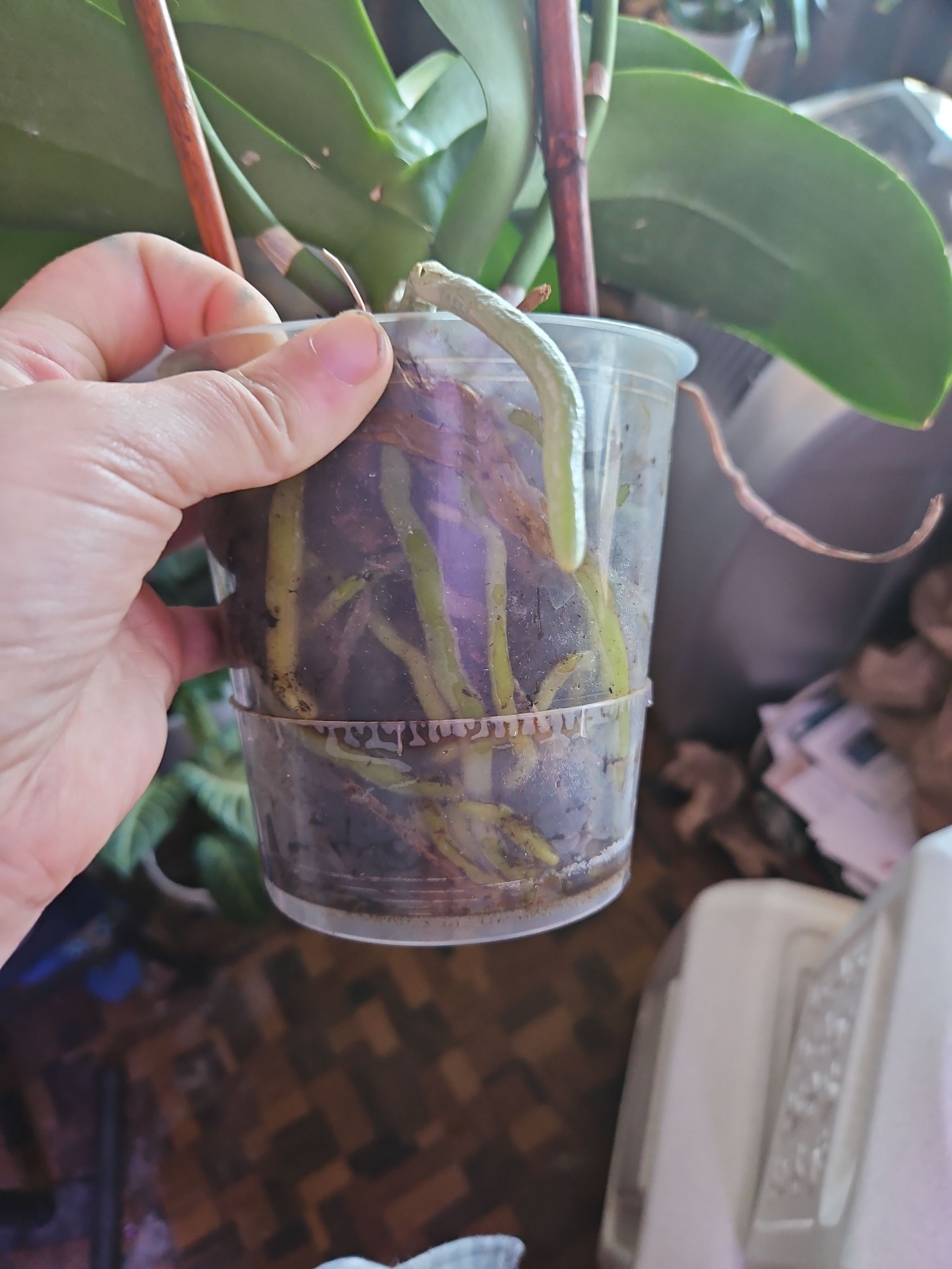 Photo from the post